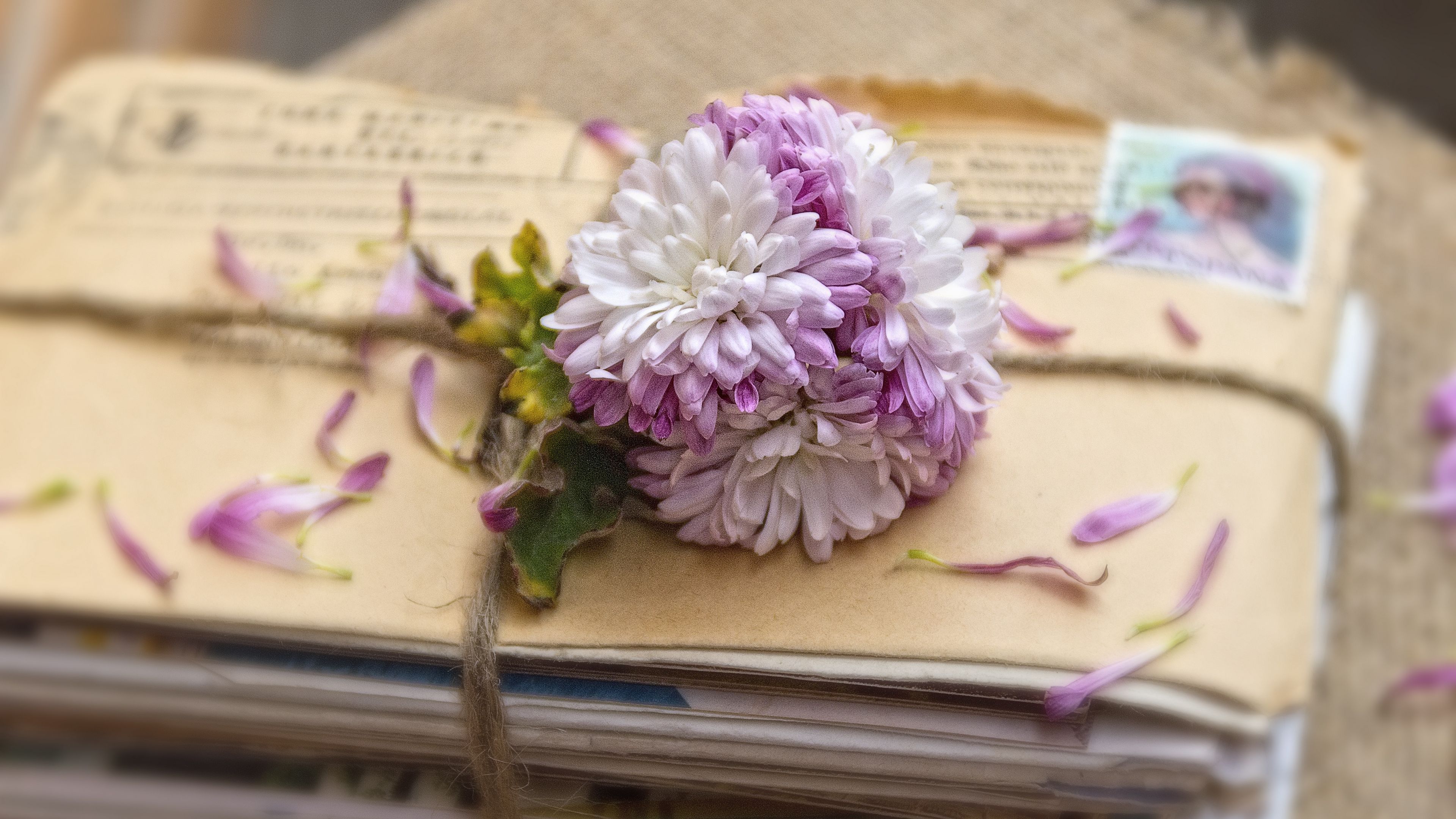 letters, flowers, garter, 4k, HD Wallpaper