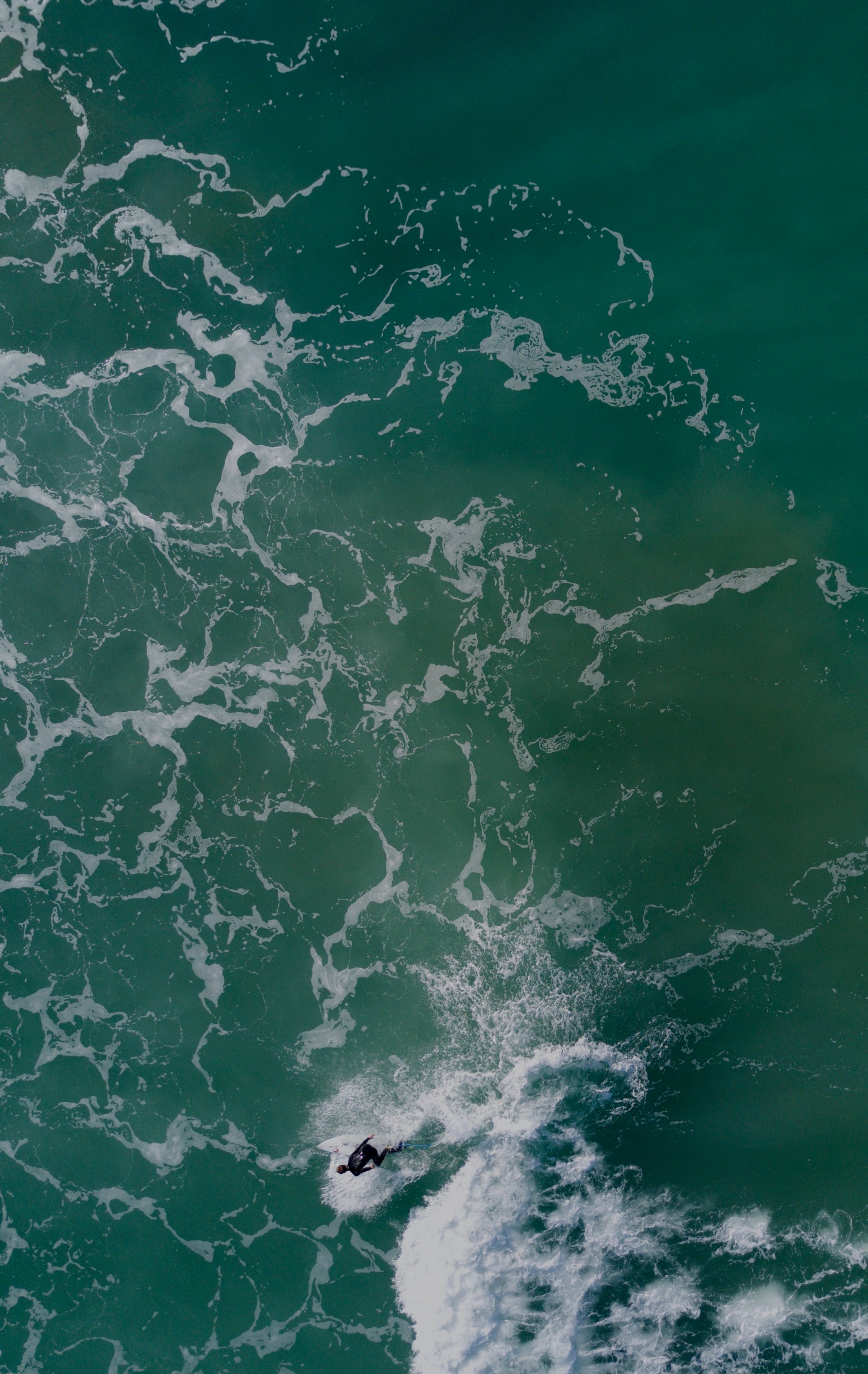 an overhead drone shot of a man in a wetsuit riding a surfboard in the sea at gisborne new zealand, curve 4k, Phone HD Wallpaper