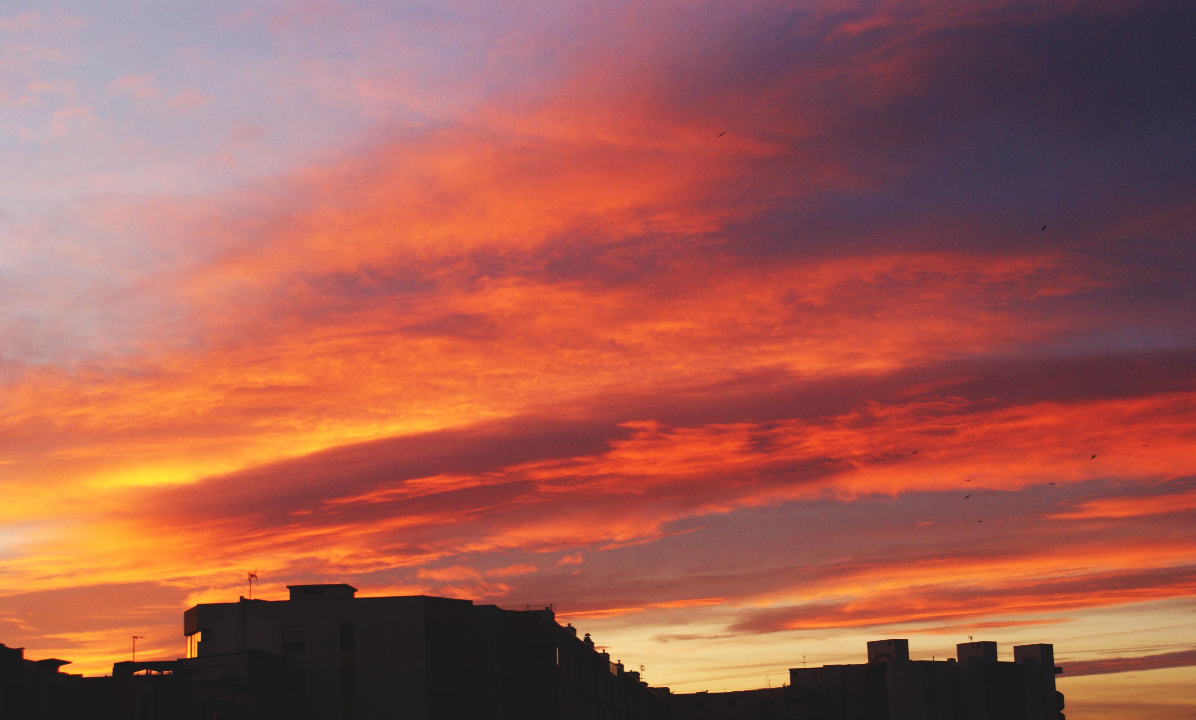 outdoor cloud environment and morning 4k, HD Wallpaper