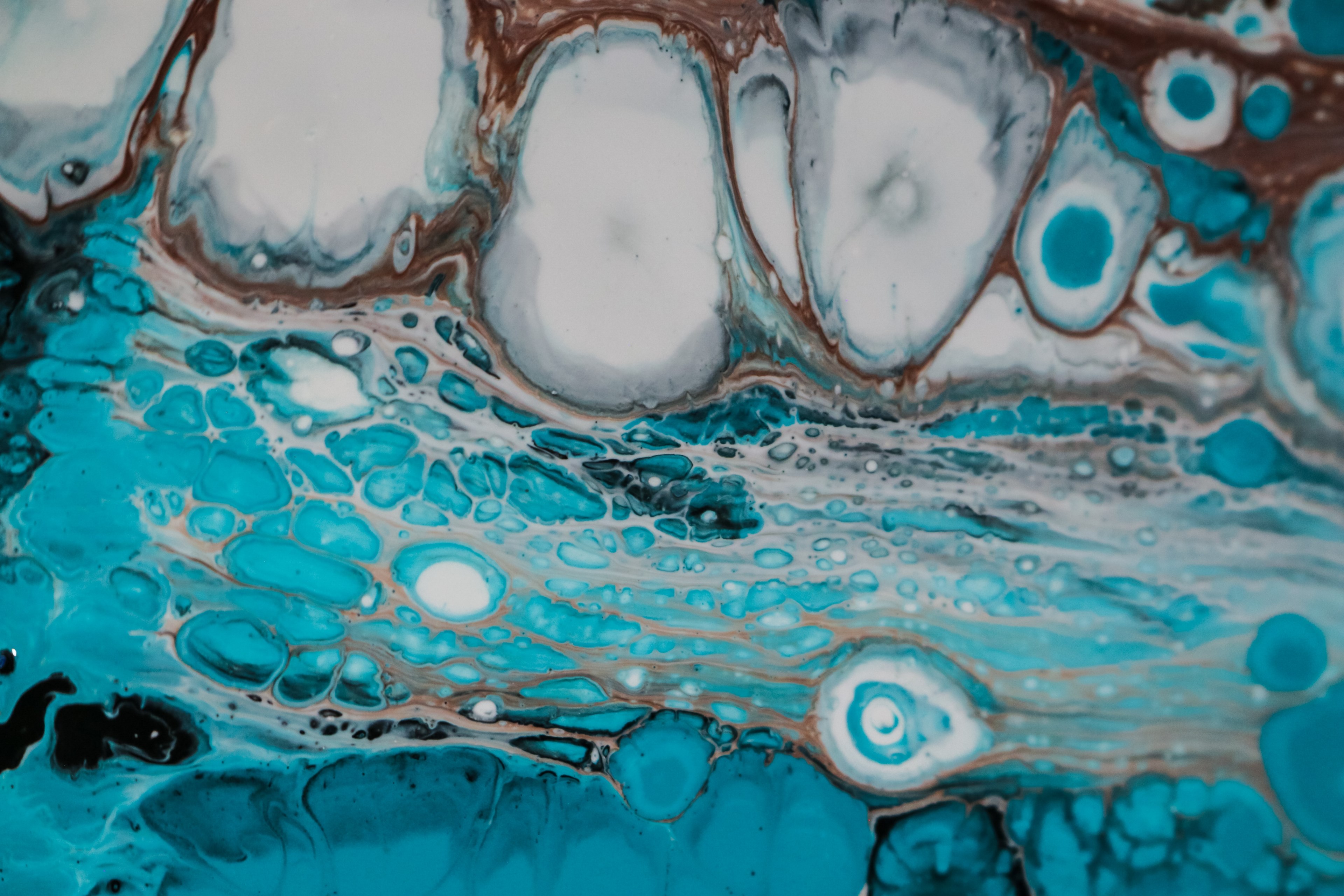 fluid paint vascular turquoise 4k, HD Wallpaper