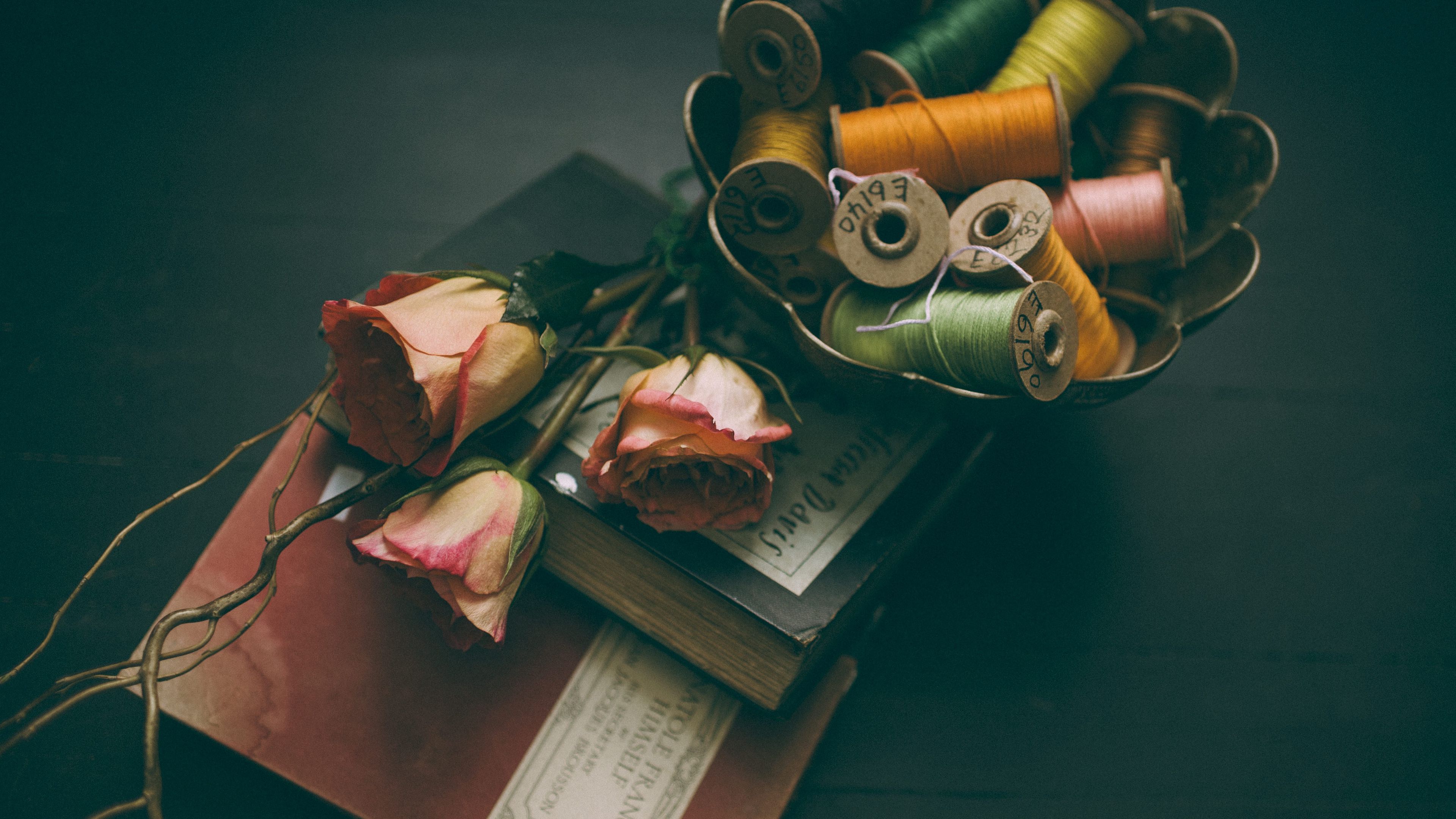 book, thread, rose, 4k, HD Wallpaper
