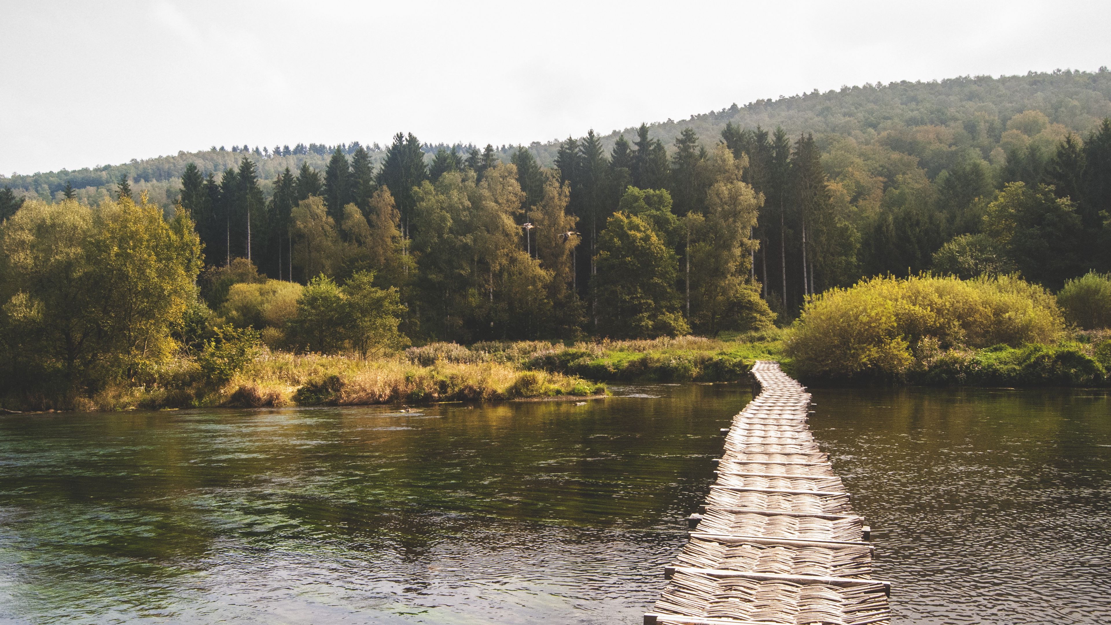 bridge, forest, river, 4k, HD Wallpaper