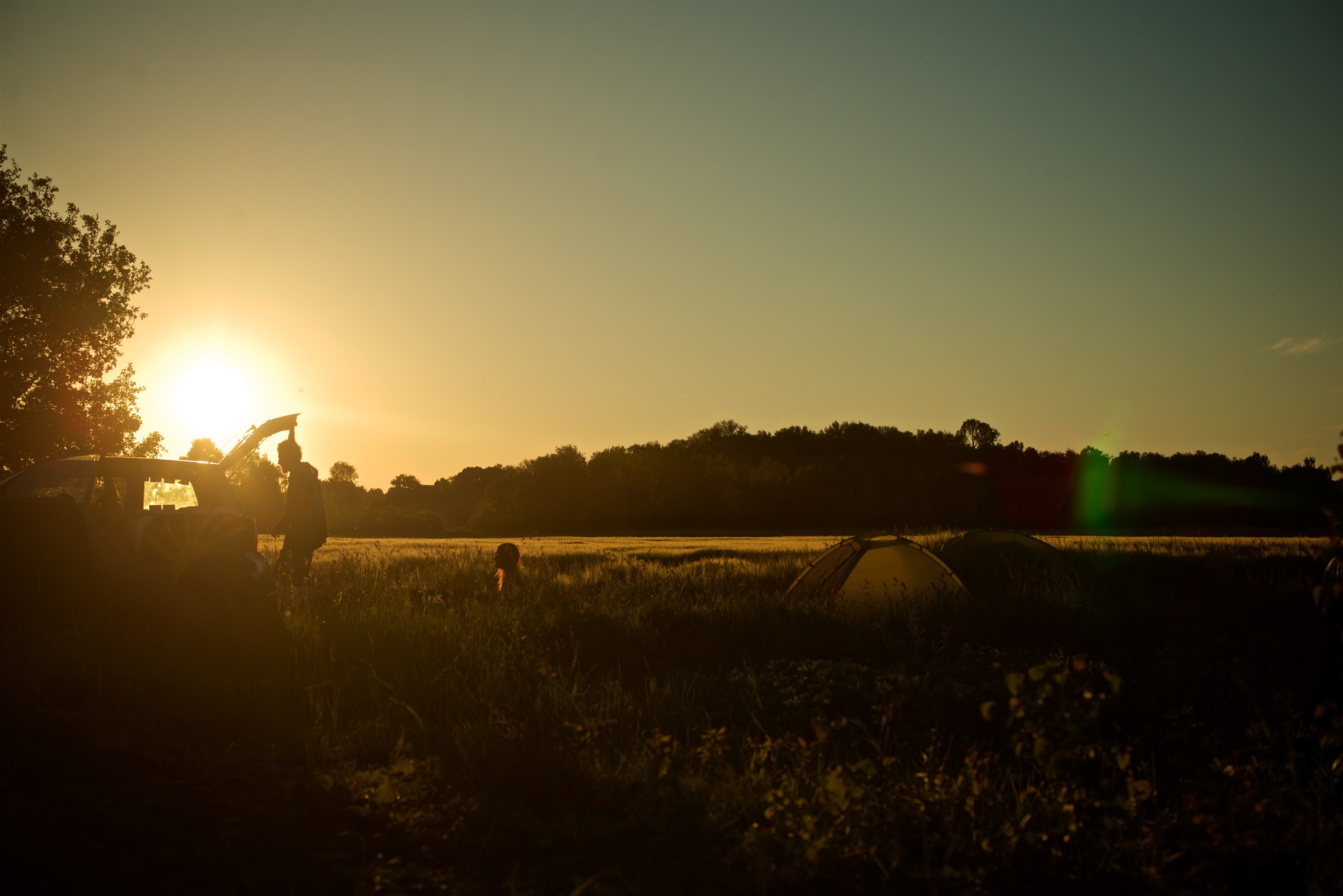 a family by the trunk of their car on a countryside in salzwedel during golden hour, camping in the cornfield 4k, HD Wallpaper