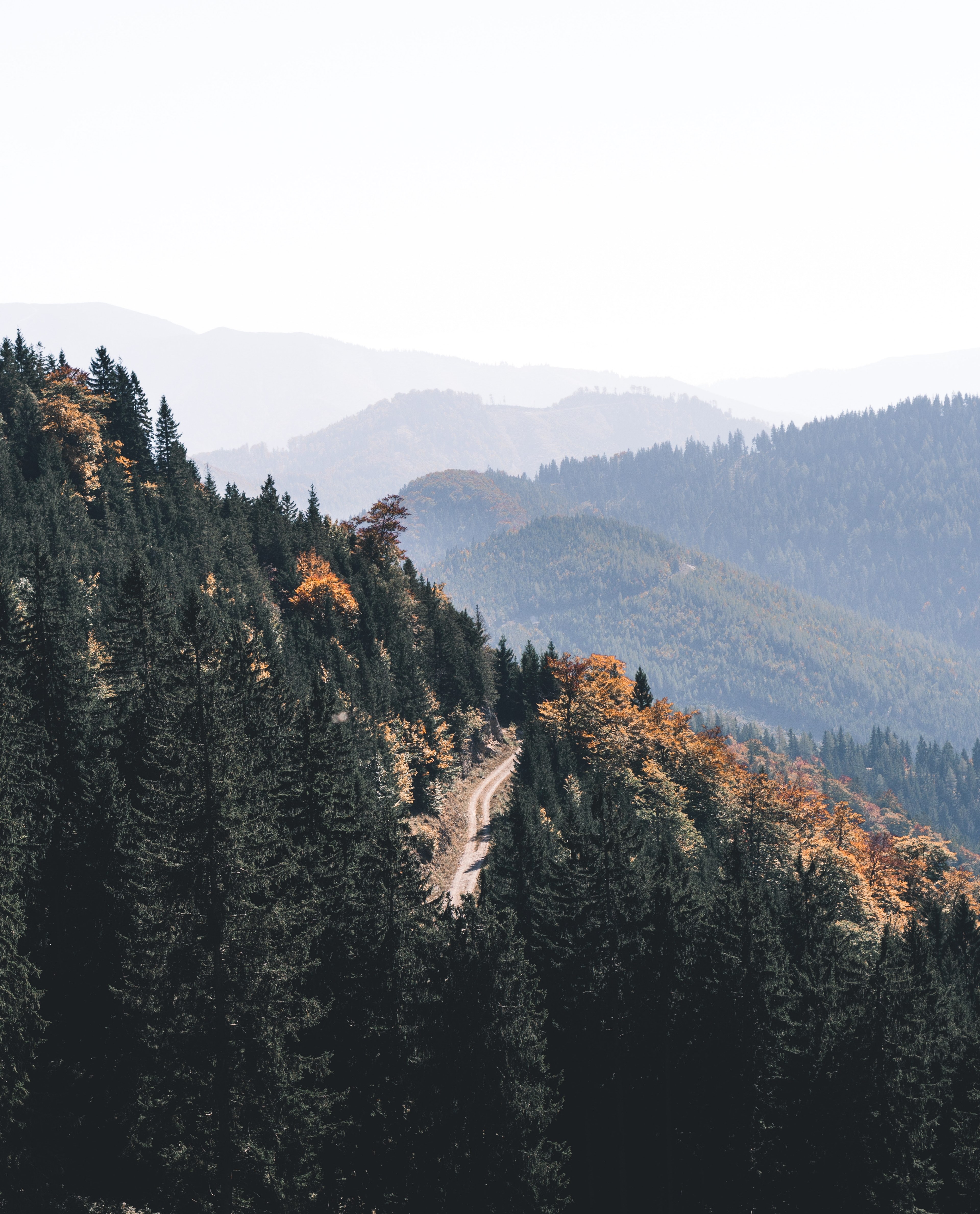 autumn layered hills in austria 4k, Phone HD Wallpaper