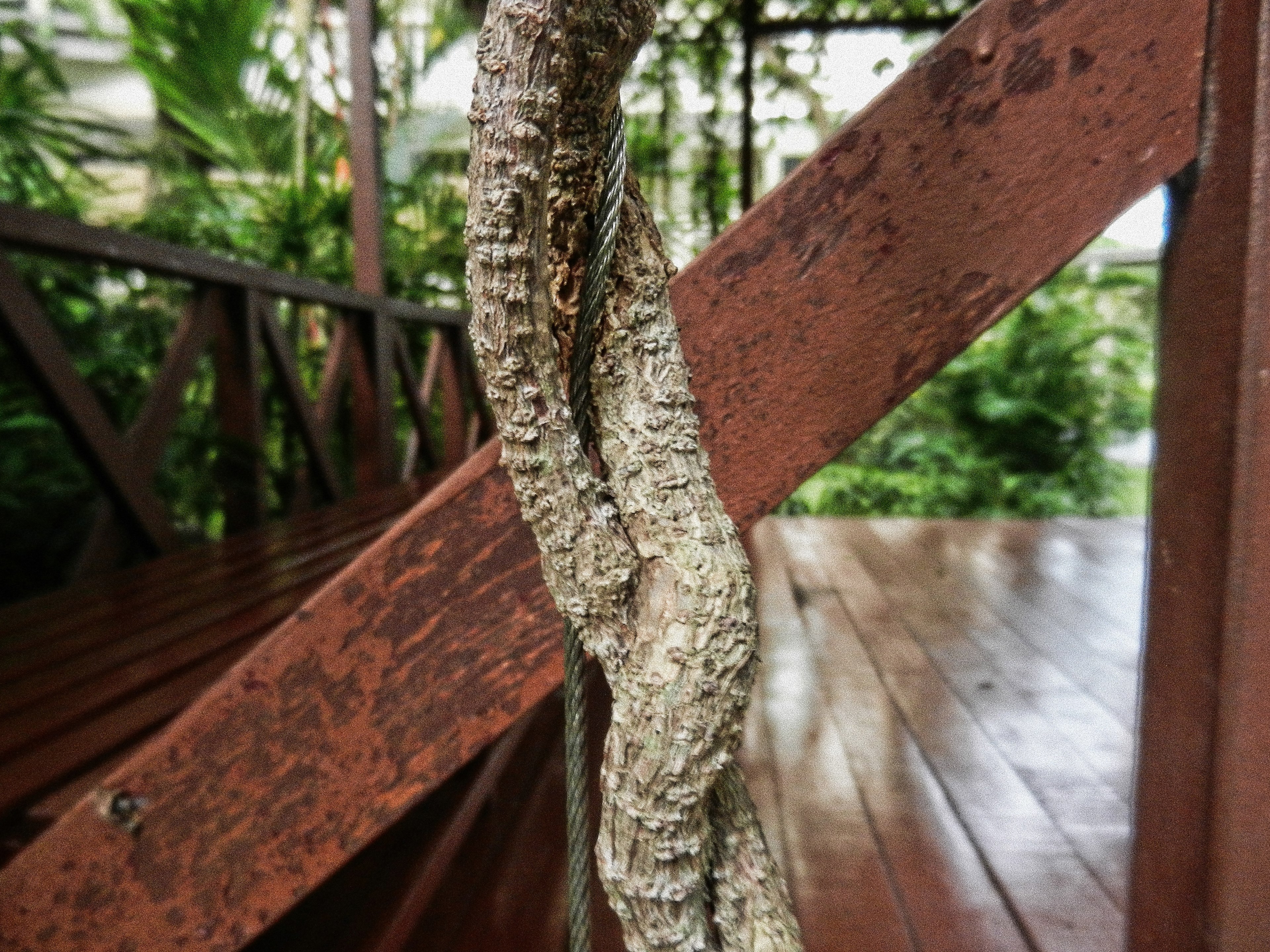 natural hugging artificial 4k, HD Wallpaper