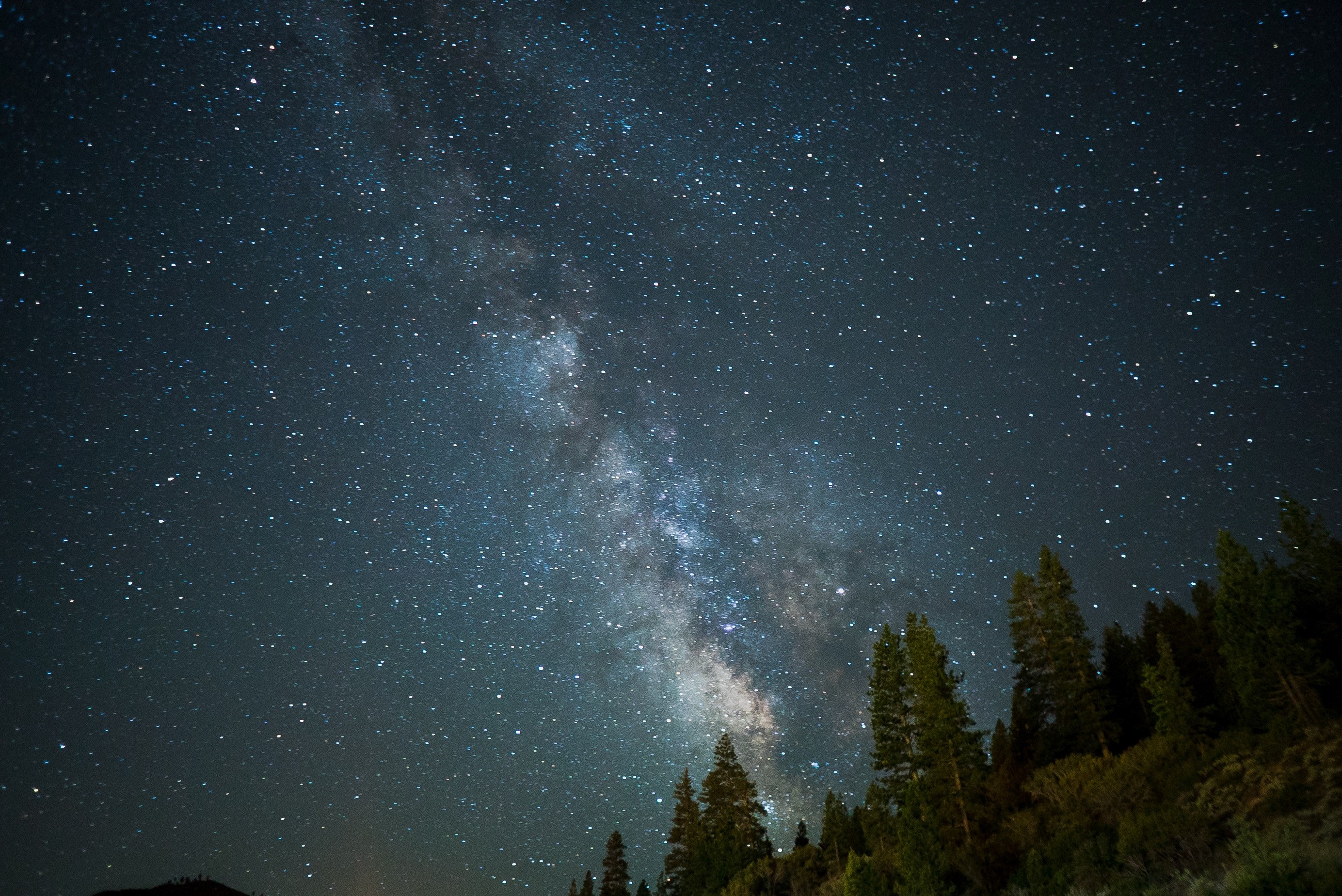 the milky way rises above the pine forest as seen in california, _snickers 4k, HD Wallpaper