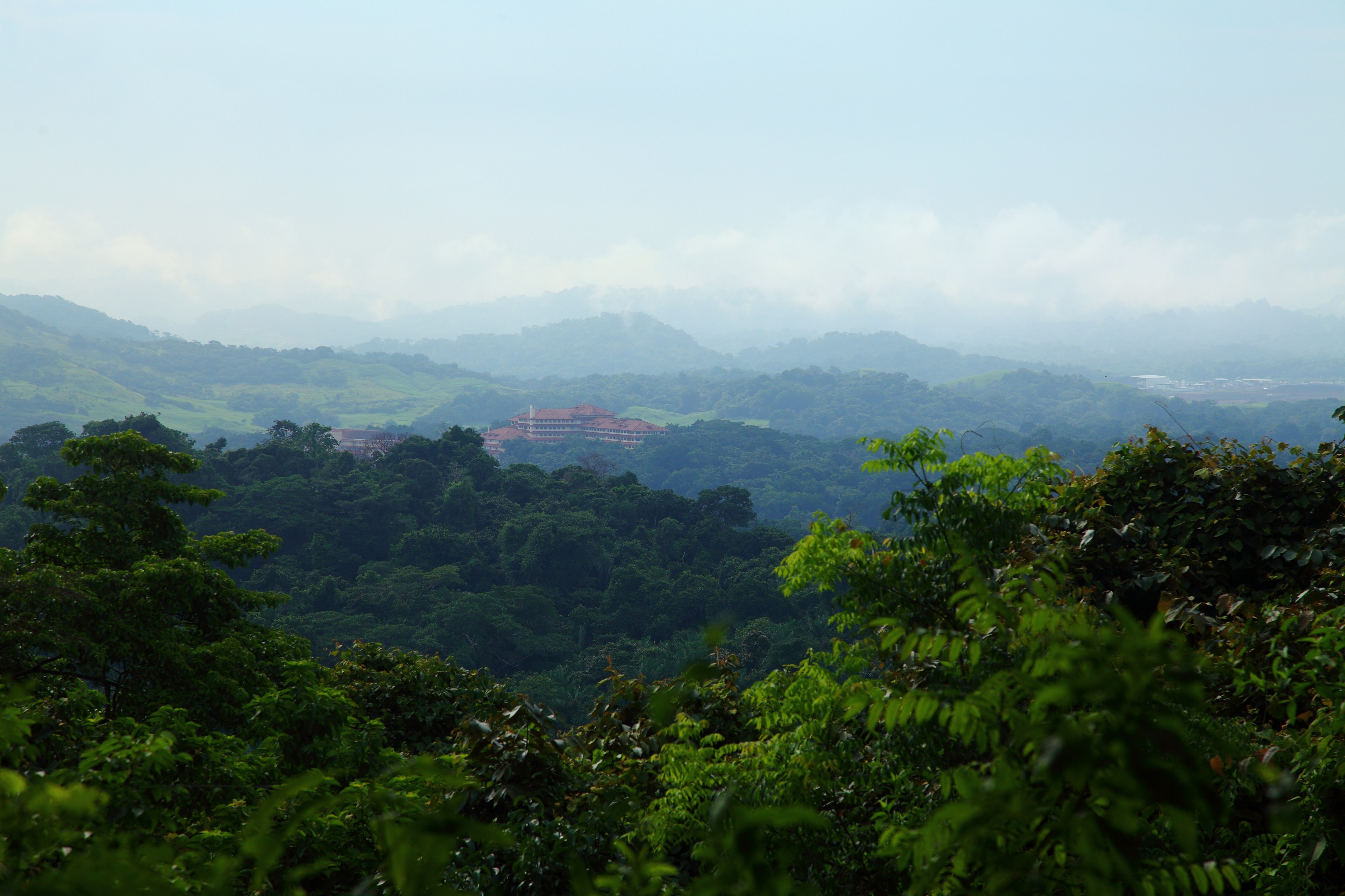 forest panama landscape and hill 4k, HD Wallpaper