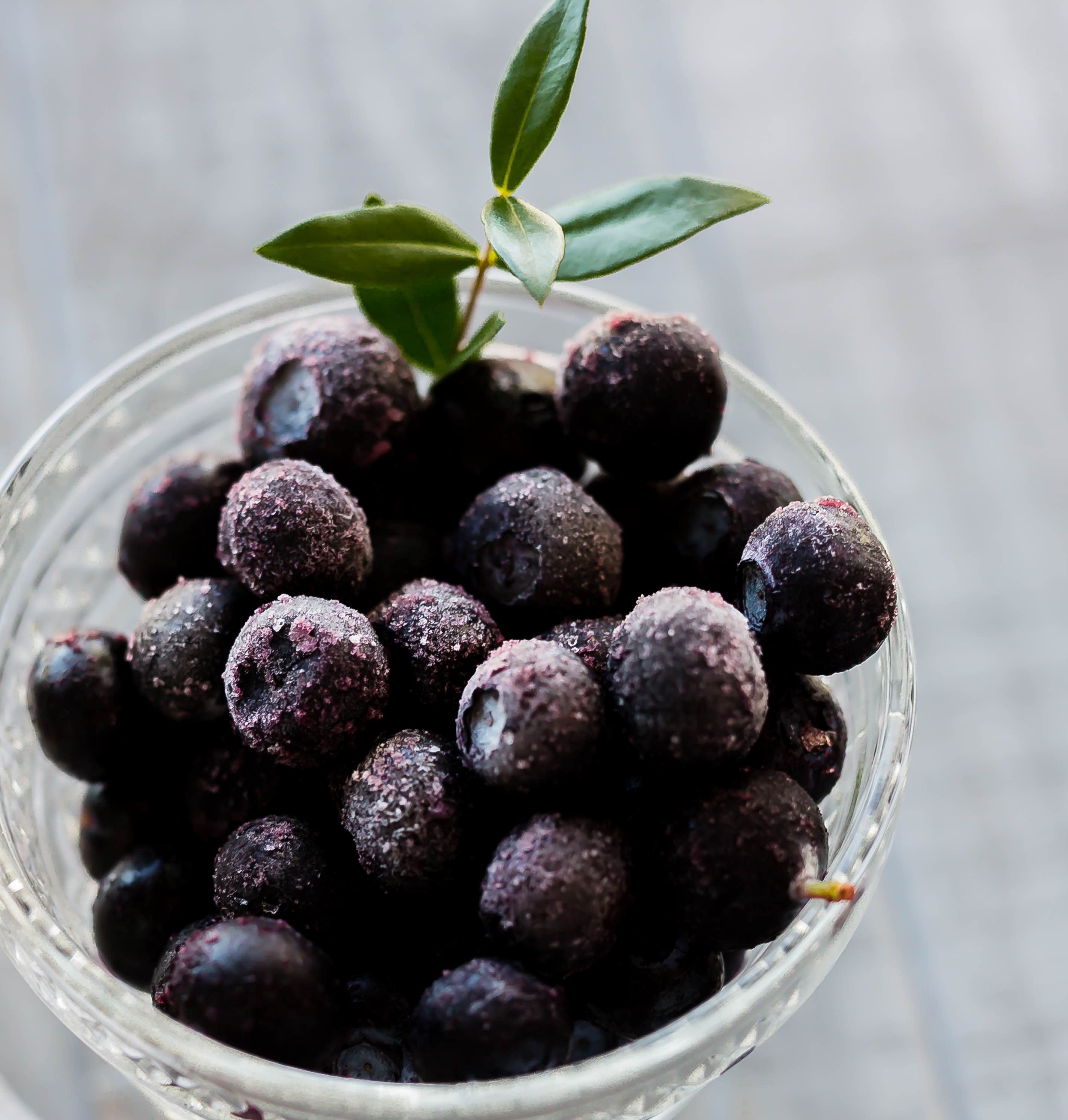 blueberry coating 4k, Phone HD Wallpaper