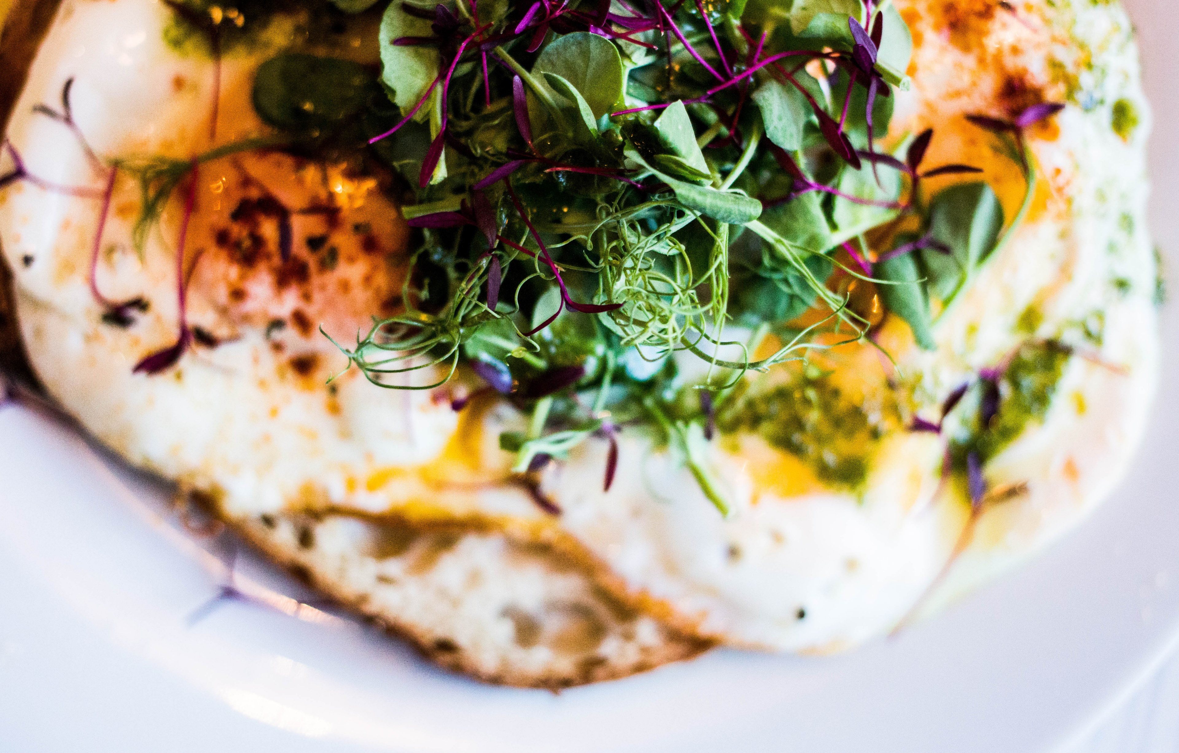 food salad green and fried egg 4k, HD Wallpaper
