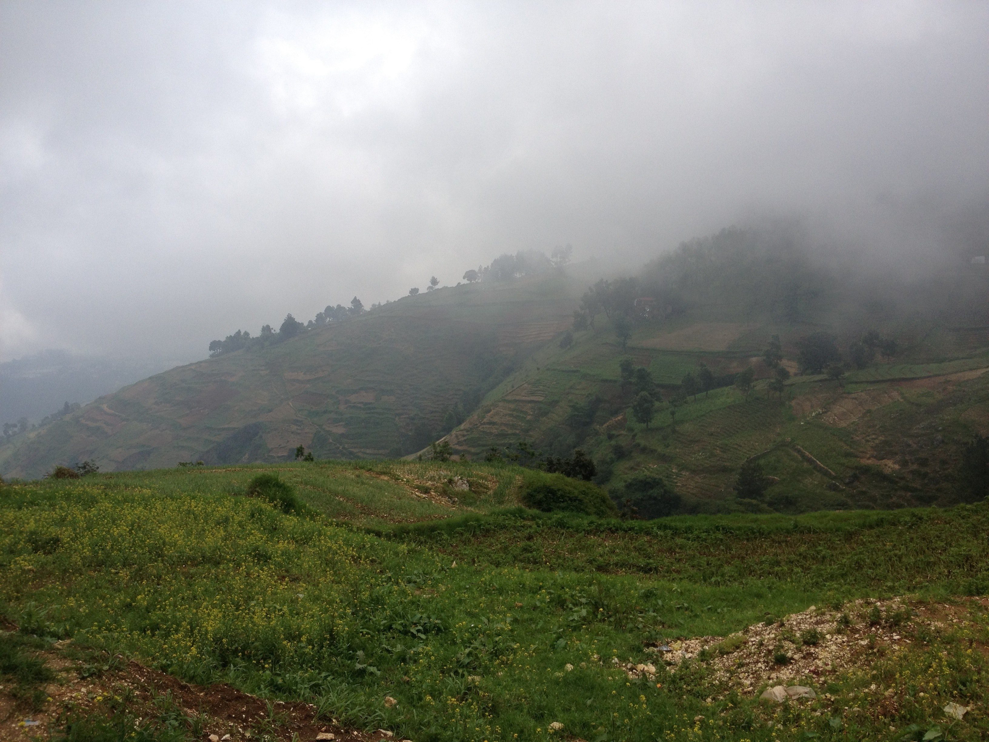fog rolling down from hills covered with green and brown vegetation, misty hills 4k, HD Wallpaper