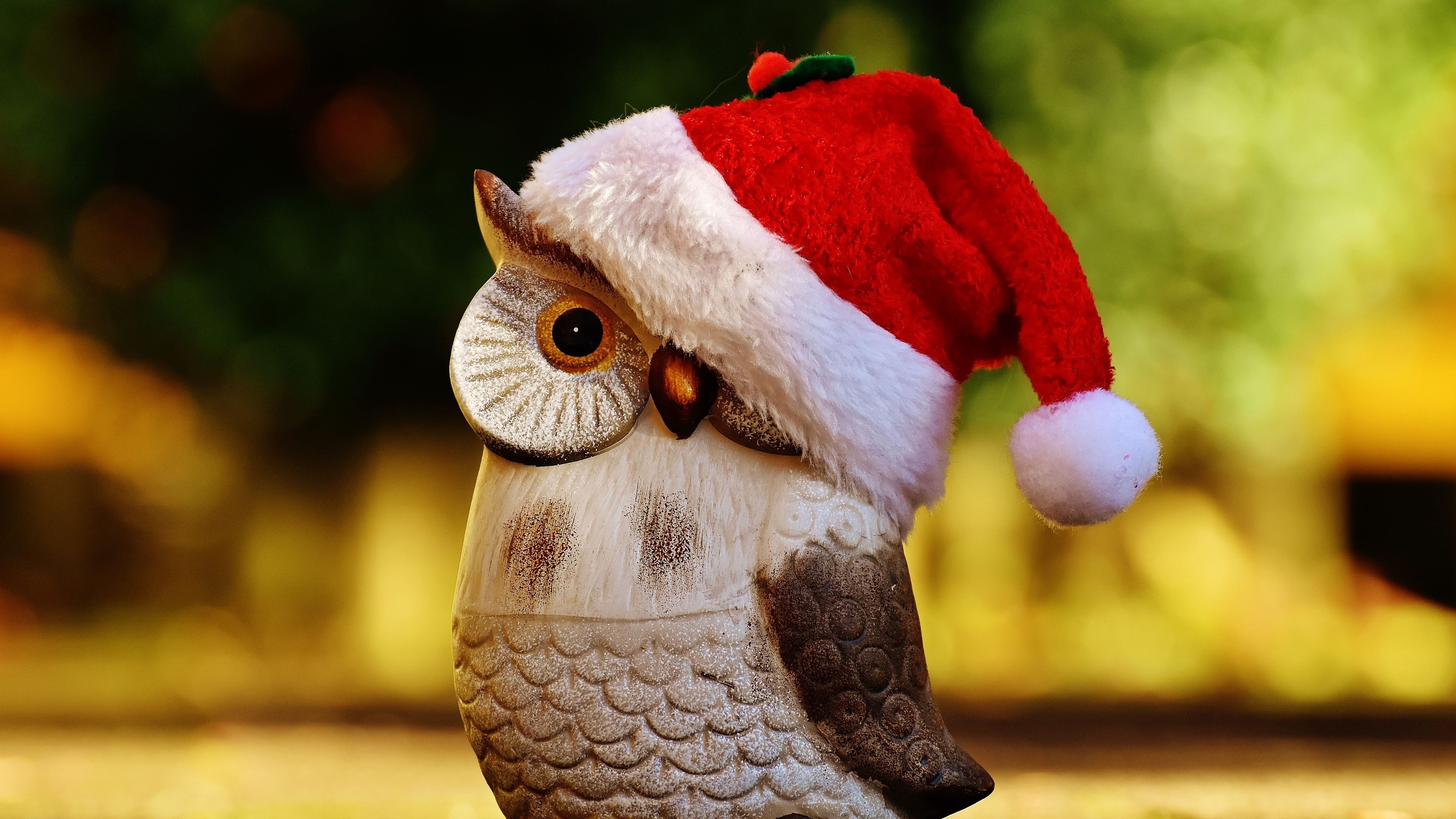 owl, hat, santa claus, figurine, 4k, HD Wallpaper
