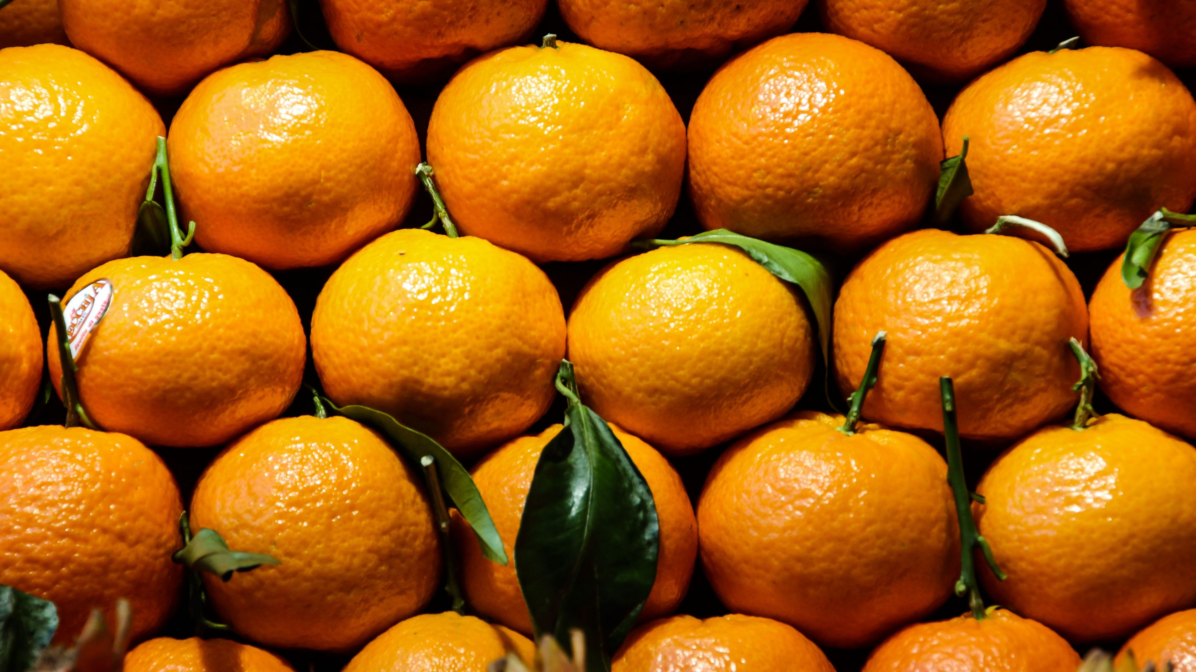 tangerine, citrus, fruit, vitamins, 4k, HD Wallpaper