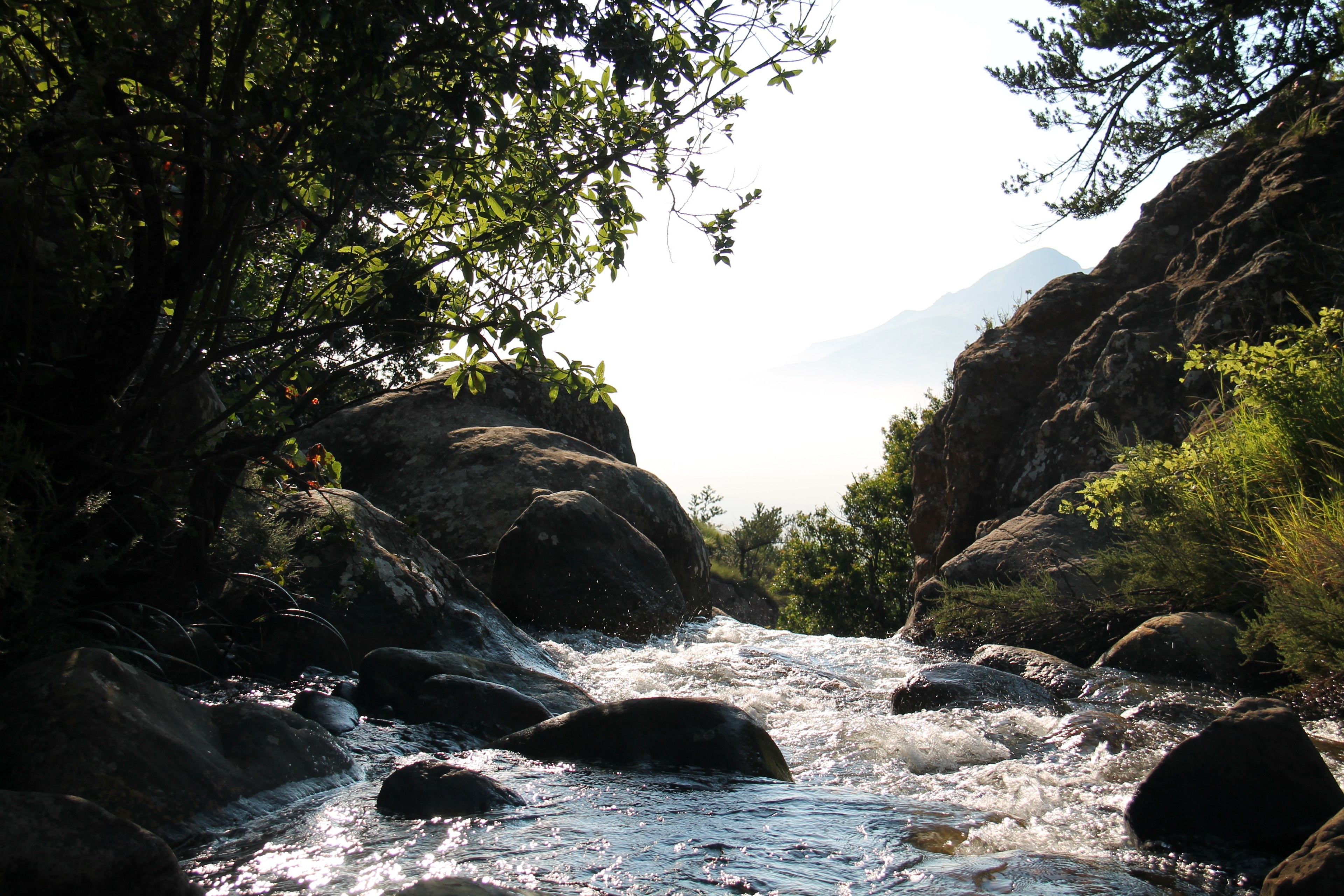a bubbling stream flowing down between large rounded rocks, sunlit stream at the edge of a forest 4k, HD Wallpaper