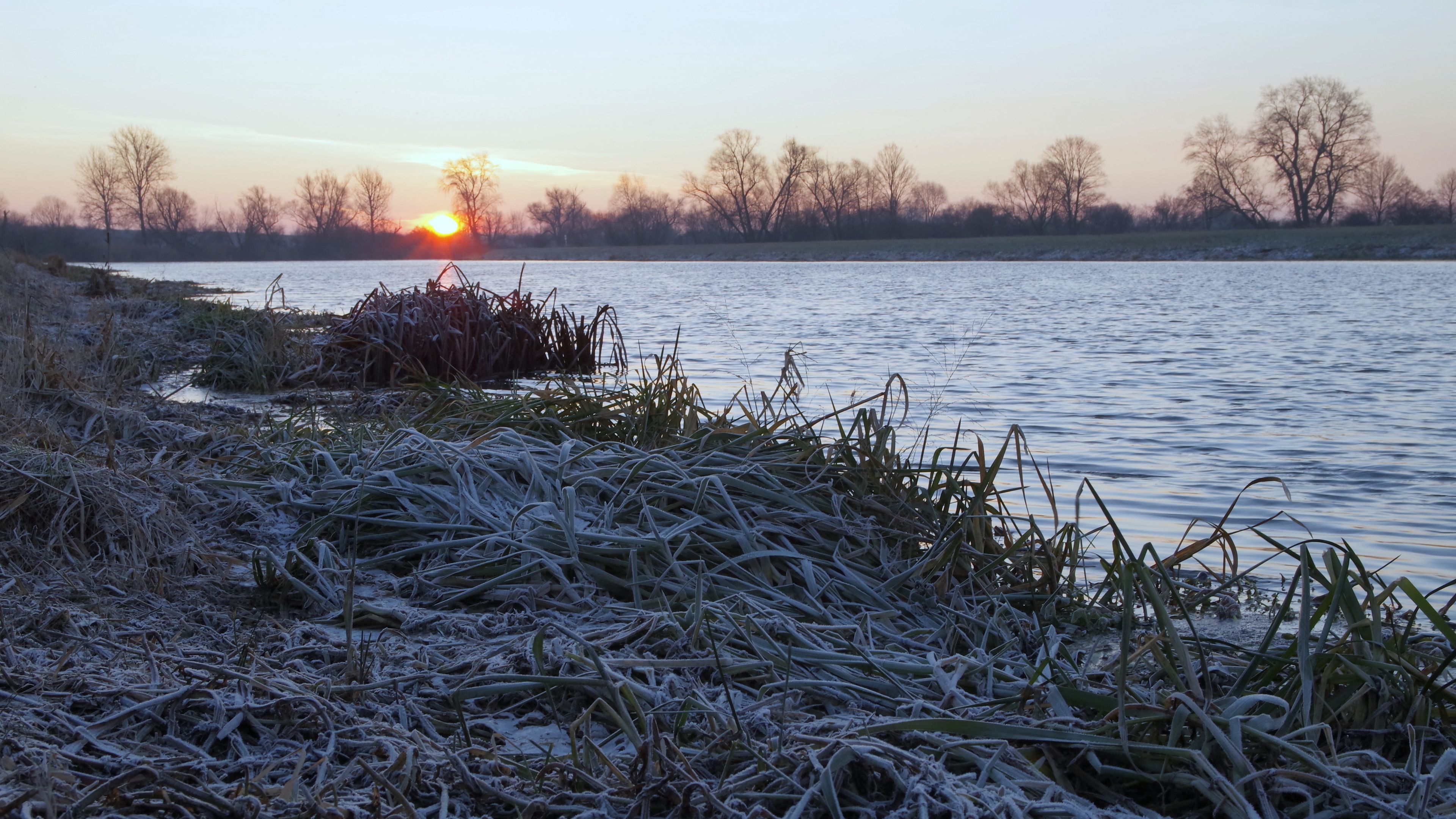 lake, frost, hoarfrost, grass, dawn, 4k, HD Wallpaper
