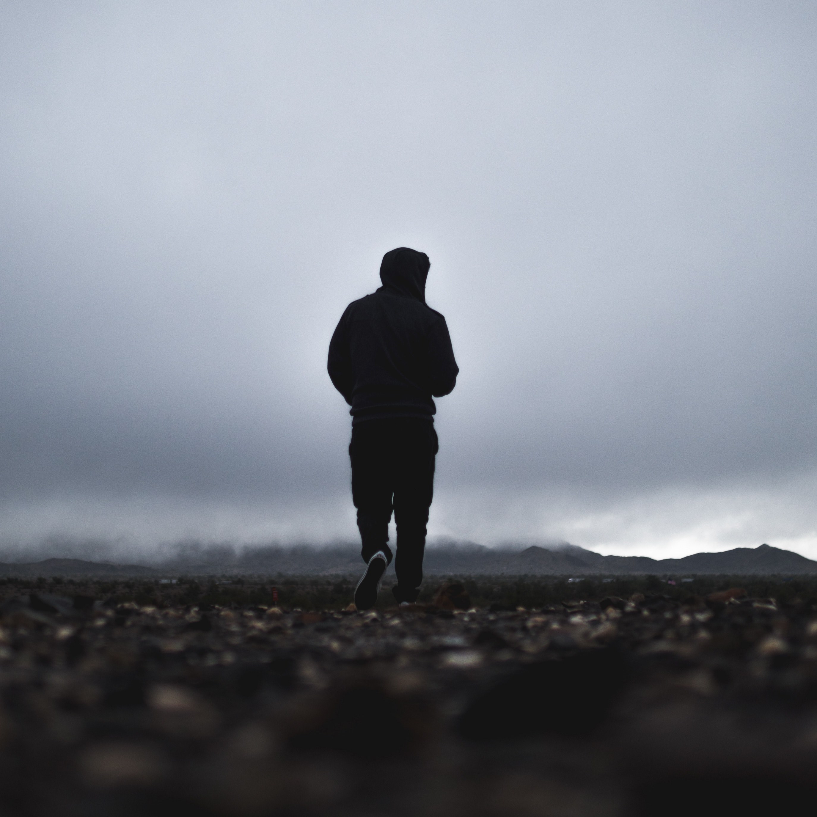 person takes a foggy walk on a rugged road, misty solitude 4k, HD Wallpaper