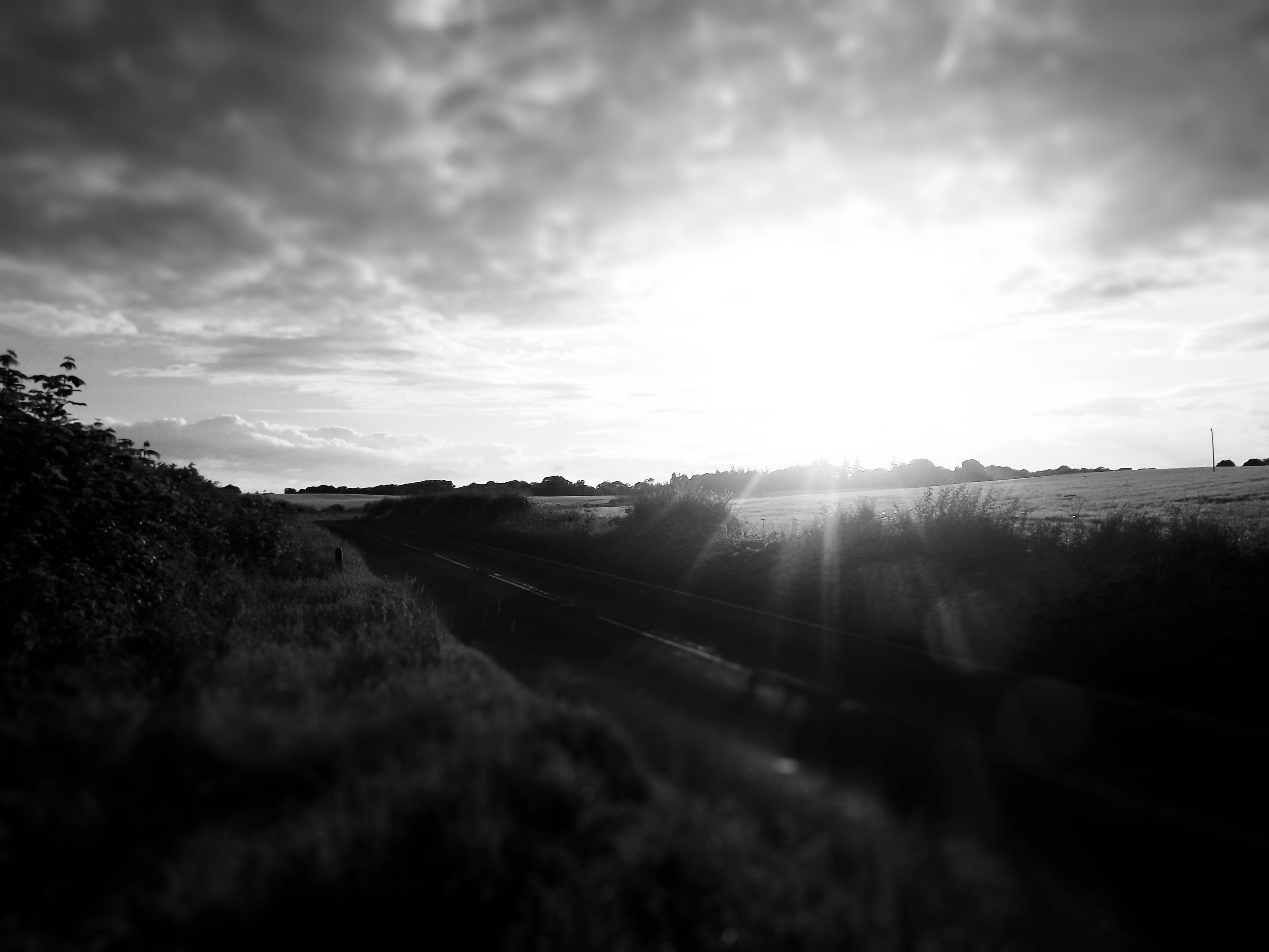 a black and white shot of a rural scenery with fields and bushes under clouds, black and white rural landscape 4k, HD Wallpaper