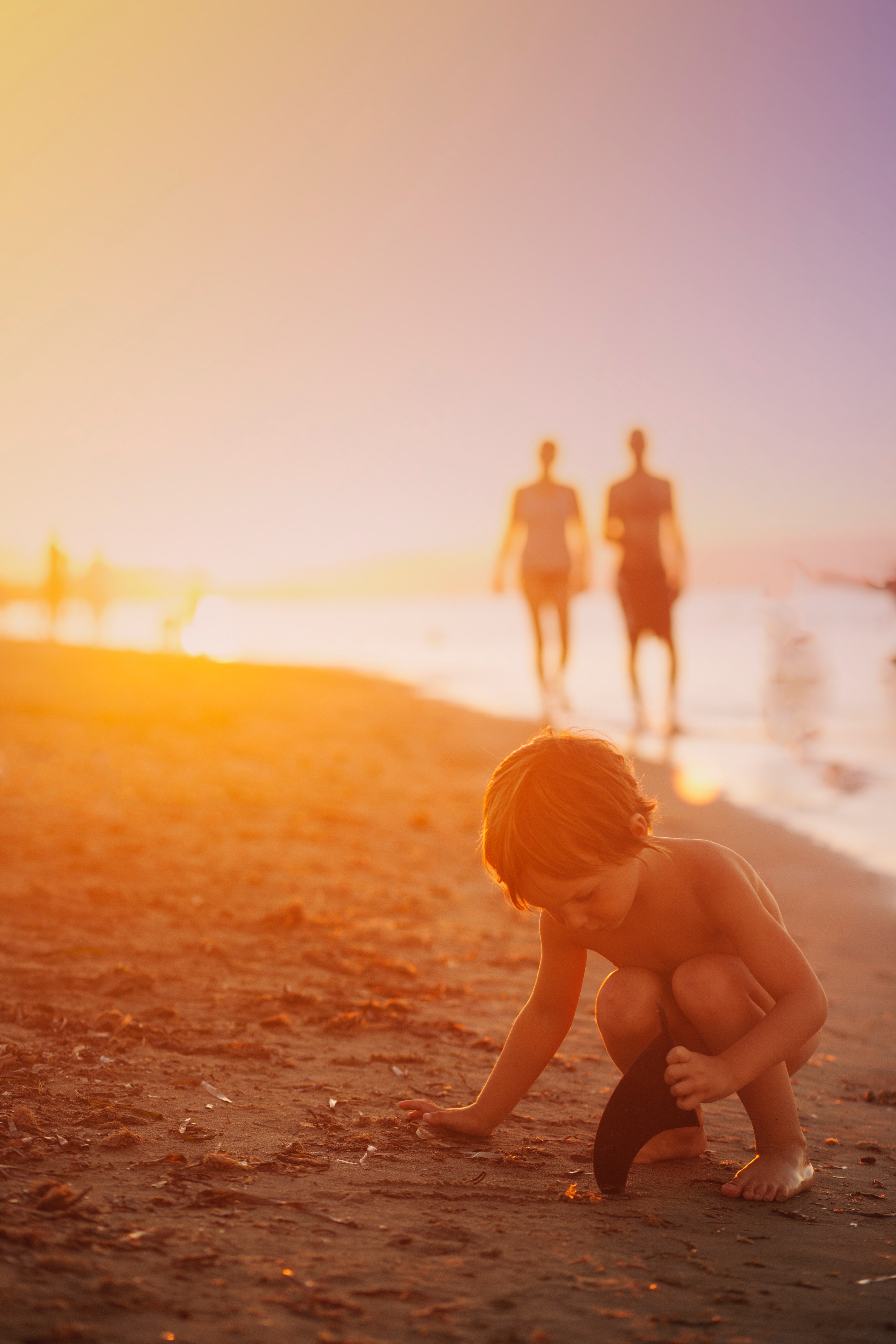 a little boy picking up shells and rocks on the beach during golden hour, shelling 4k, Phone HD Wallpaper