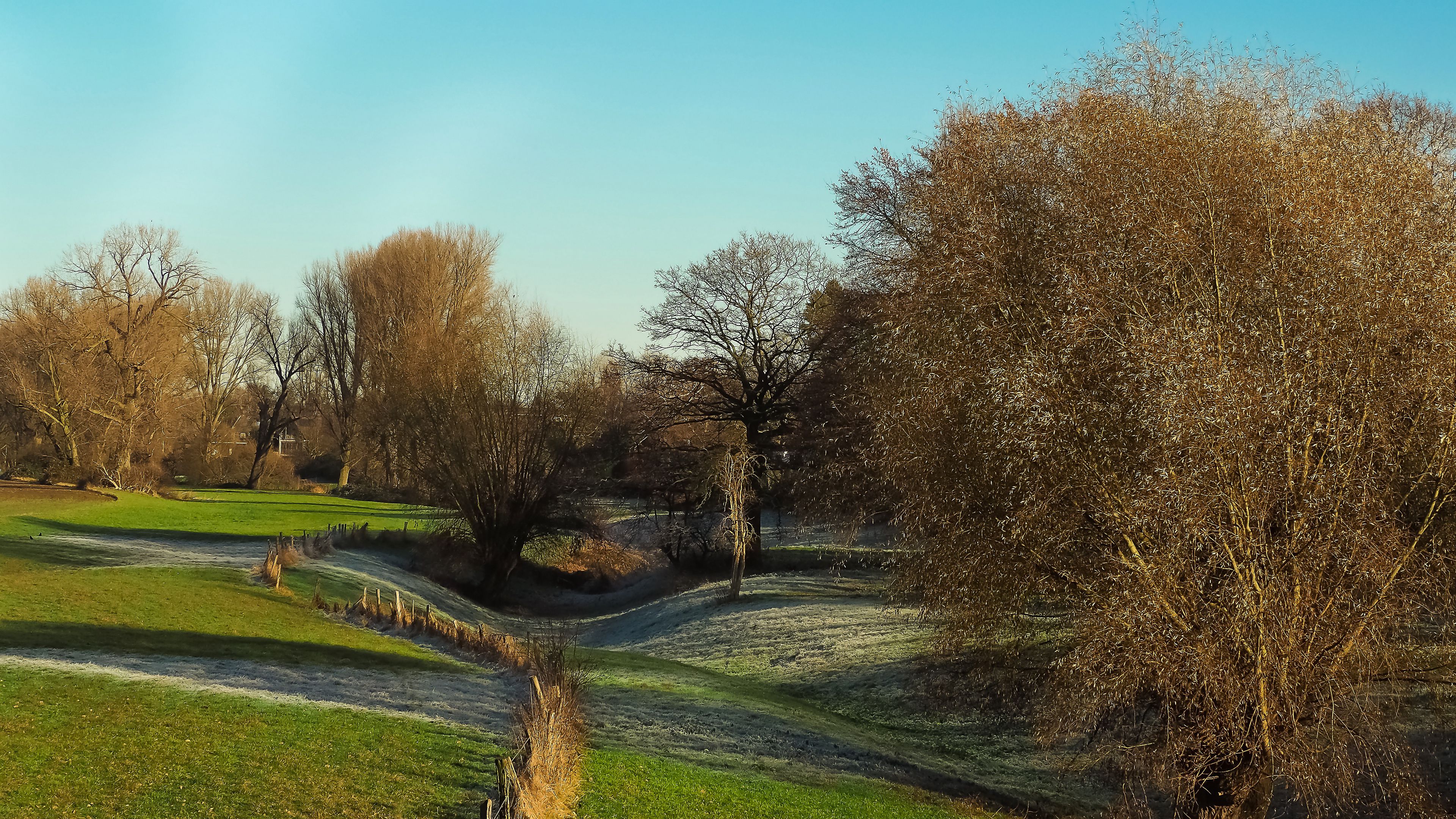 field, autumn, trees, fence, 4k, HD Wallpaper