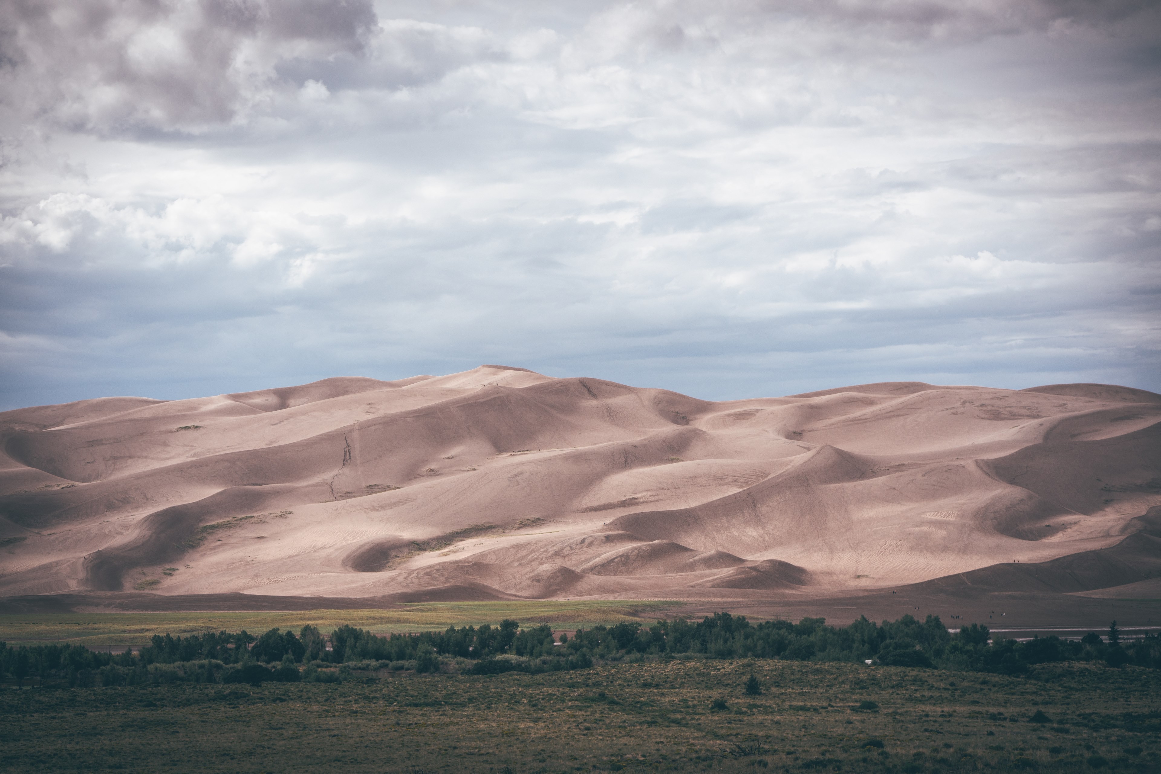 green pastures near rolling sand dunes in the desert, contrasting landscapes 4k, HD Wallpaper