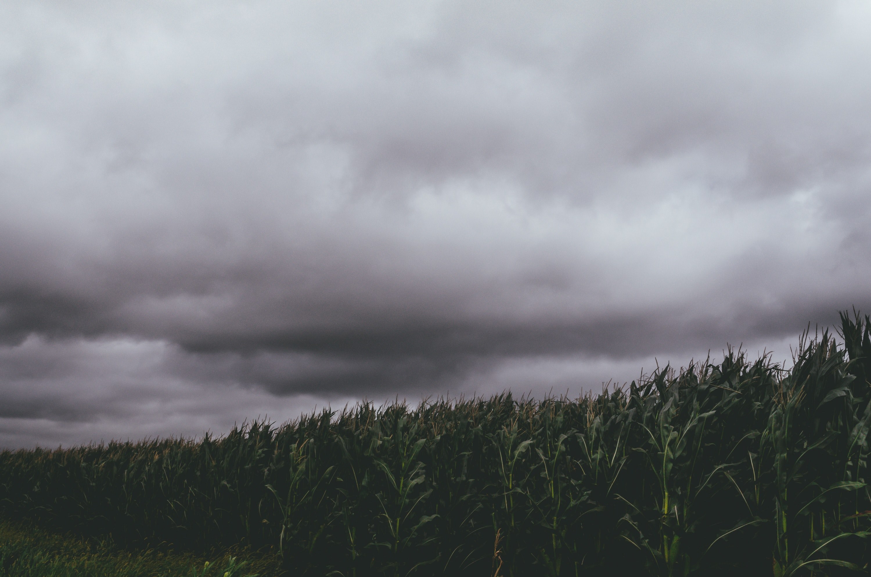storms rolling in 4k, HD Wallpaper