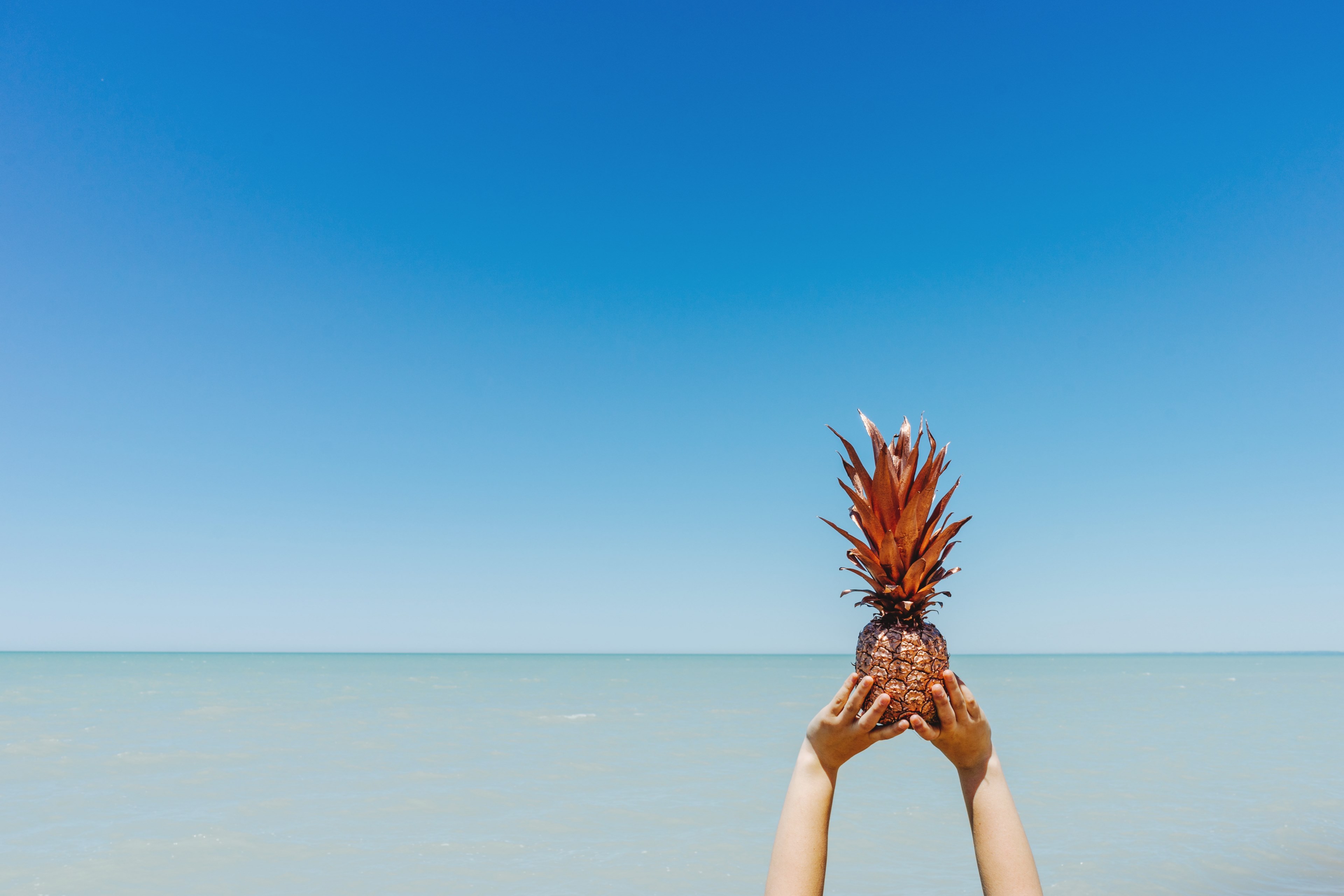 a person holding up a gold painted pineapple against the vast sea stretching to the horizon, golden pineapple against the blue sea 4k, HD Wallpaper