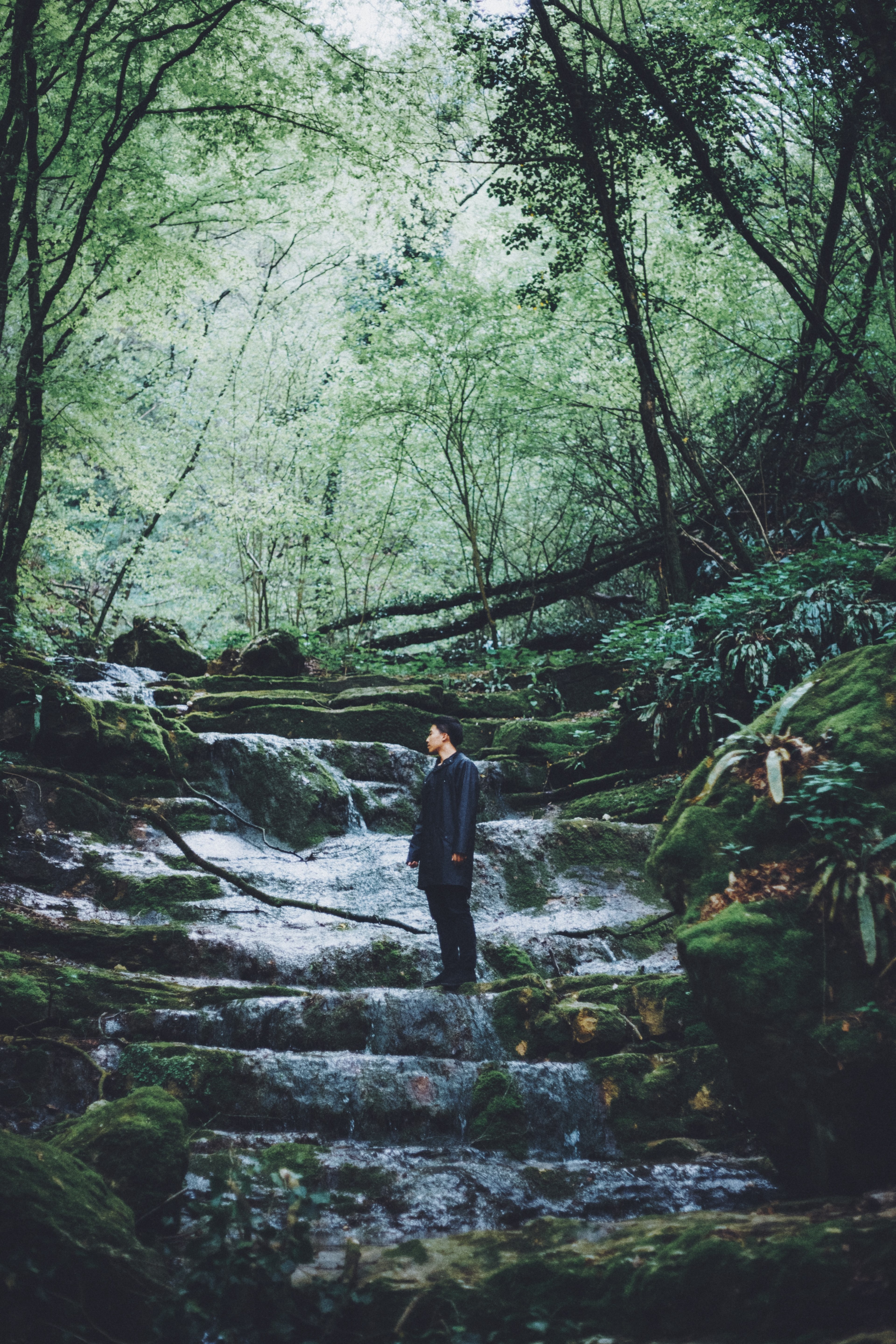 a young man standing on a rocky bed of a cascading stream in a forest, man on a streams bed 4k, Phone HD Wallpaper