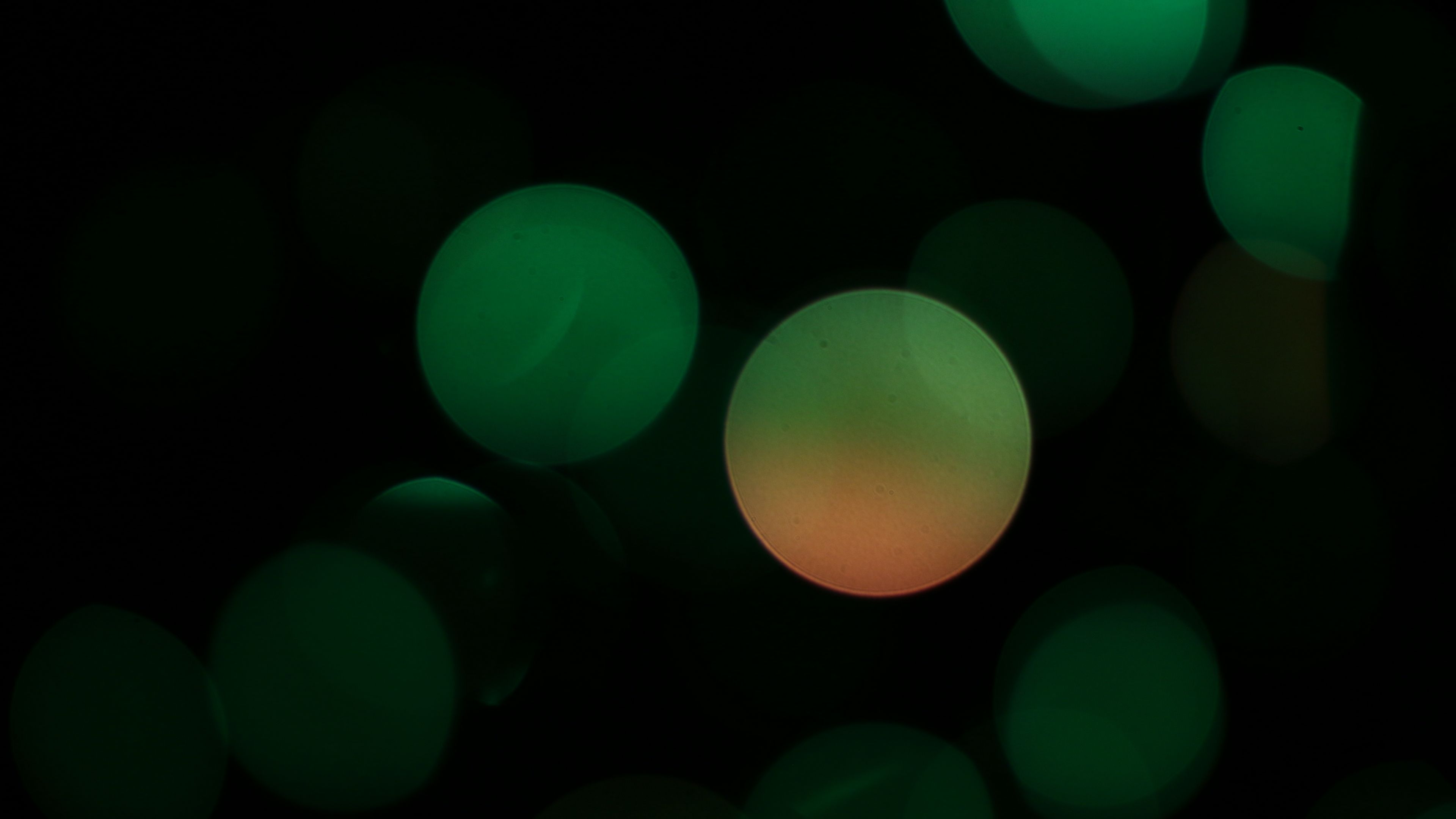 highlights, circles, abstract, spots, 4k, HD Wallpaper