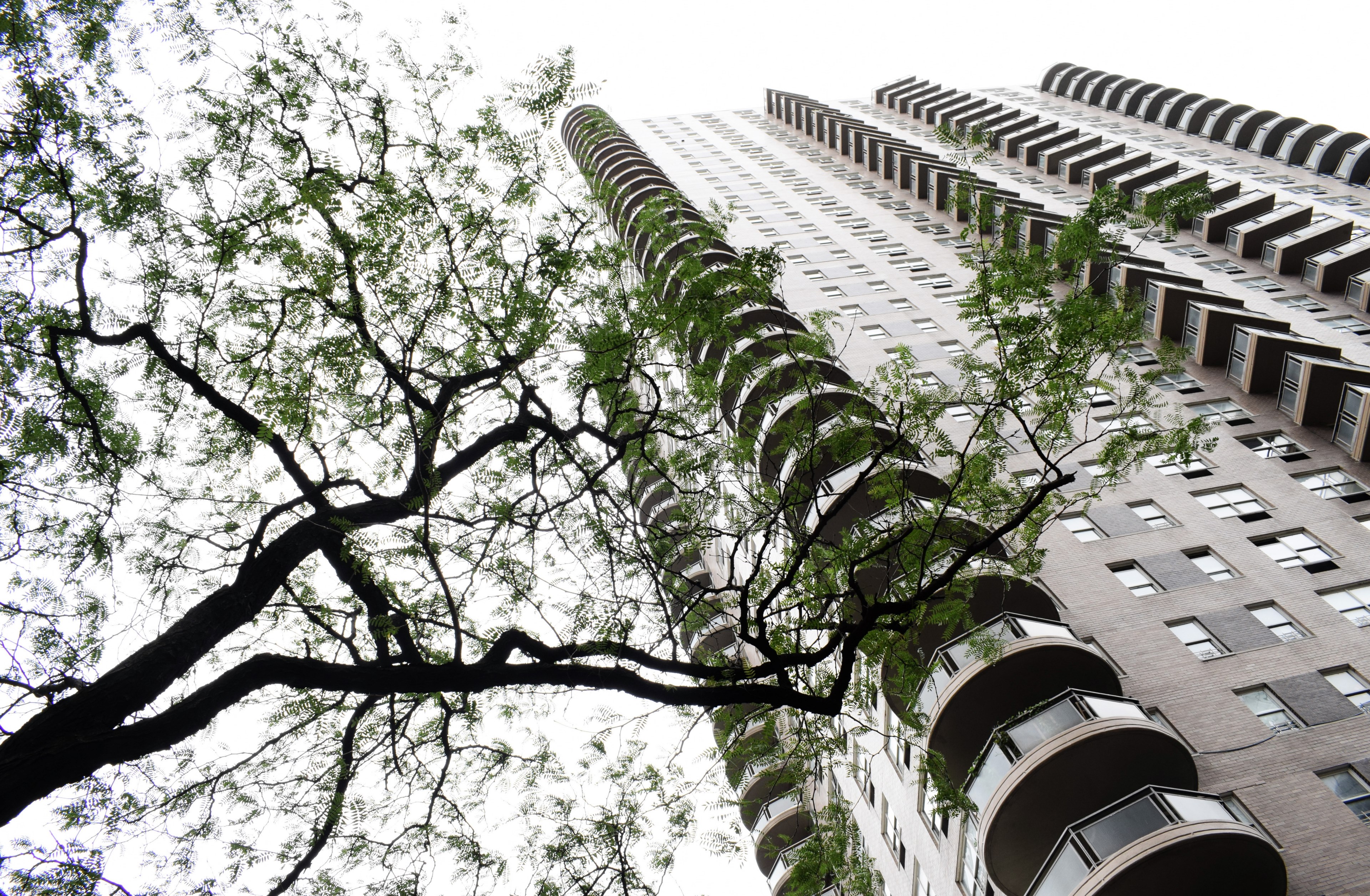 building urban architecture and new york 4k, HD Wallpaper