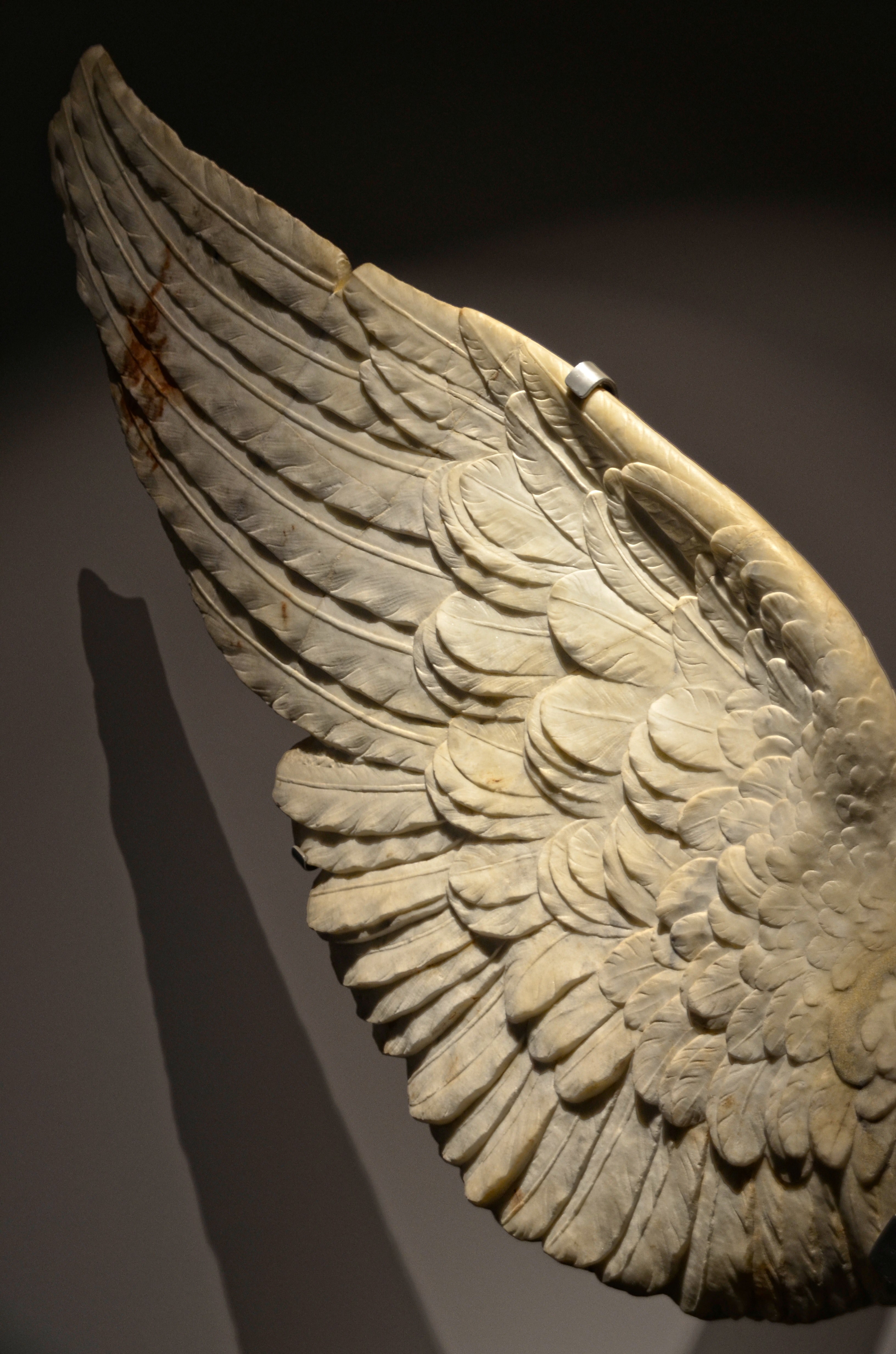 feather wing and sculpture hd, 4k, Phone HD Wallpaper