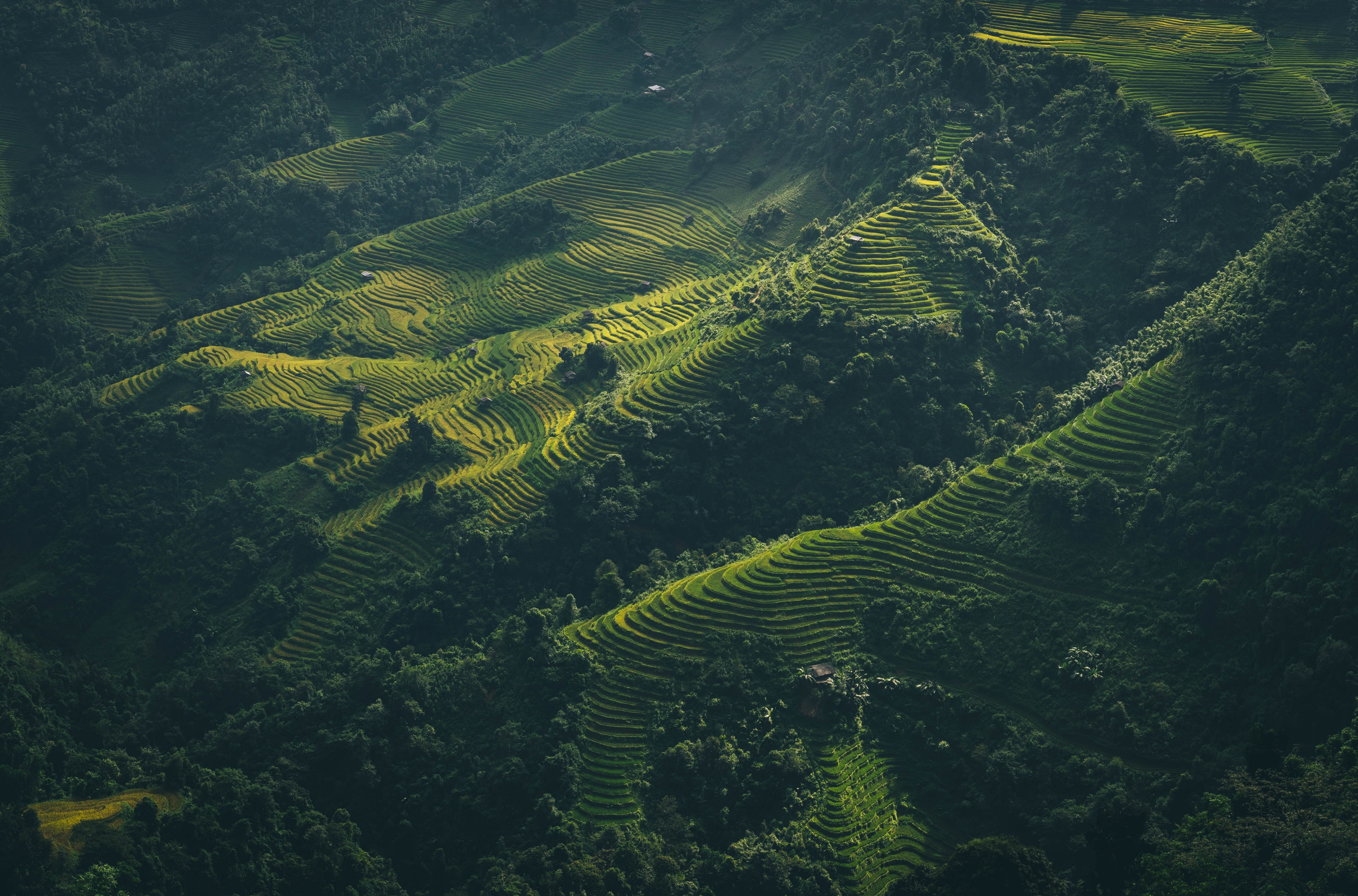 vietnamese tradition 4k, HD Wallpaper