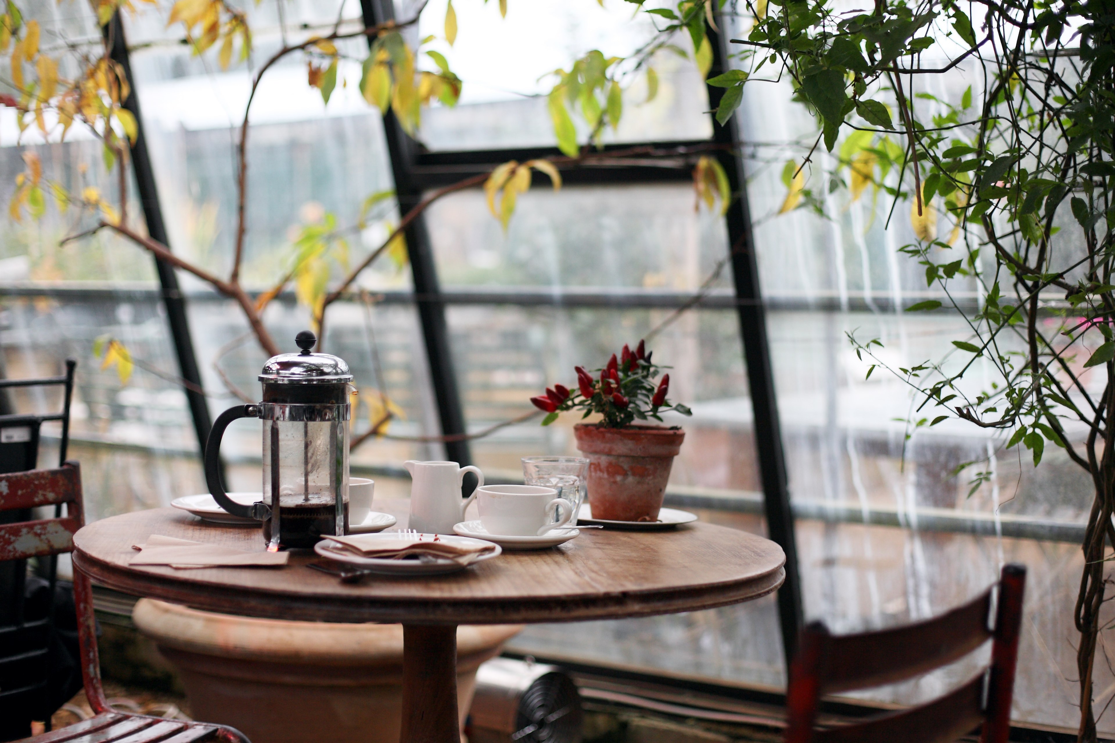 coffee french press cafe and table 4k, HD Wallpaper