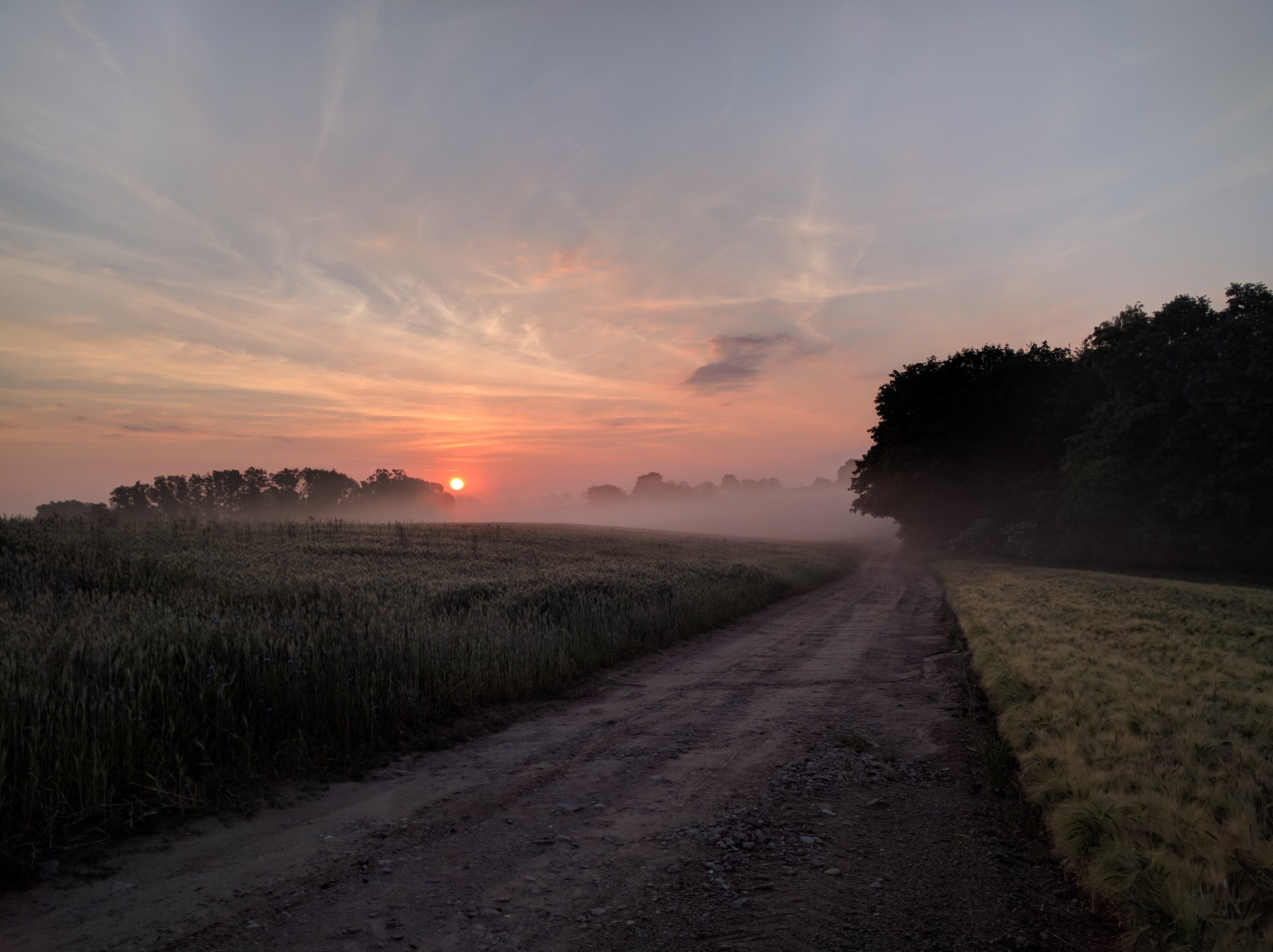 country road in poland on a foggy peaceful morning, sunrises in the country 4k, HD Wallpaper