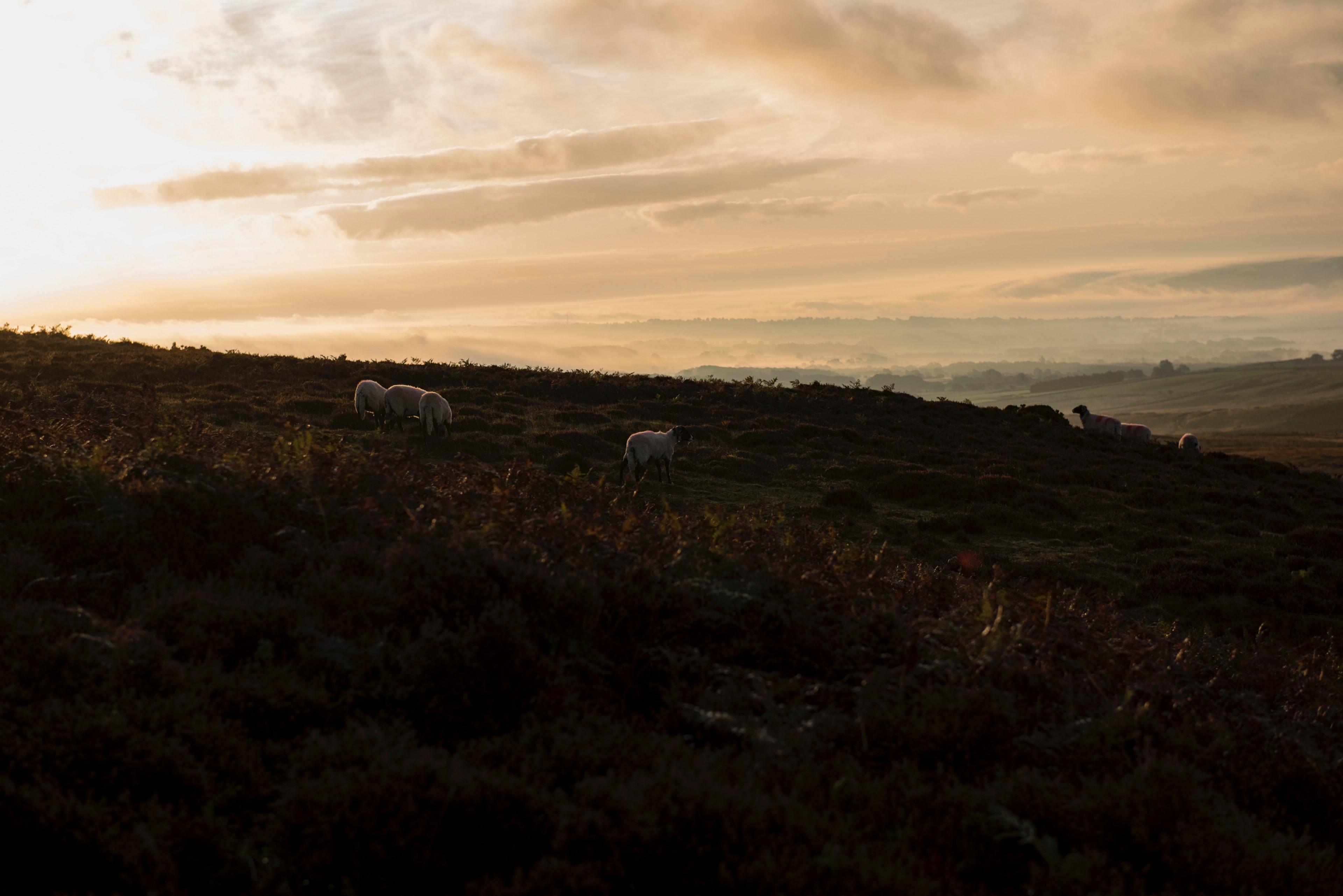 moor cloud morning and west yorkshire 4k, HD Wallpaper