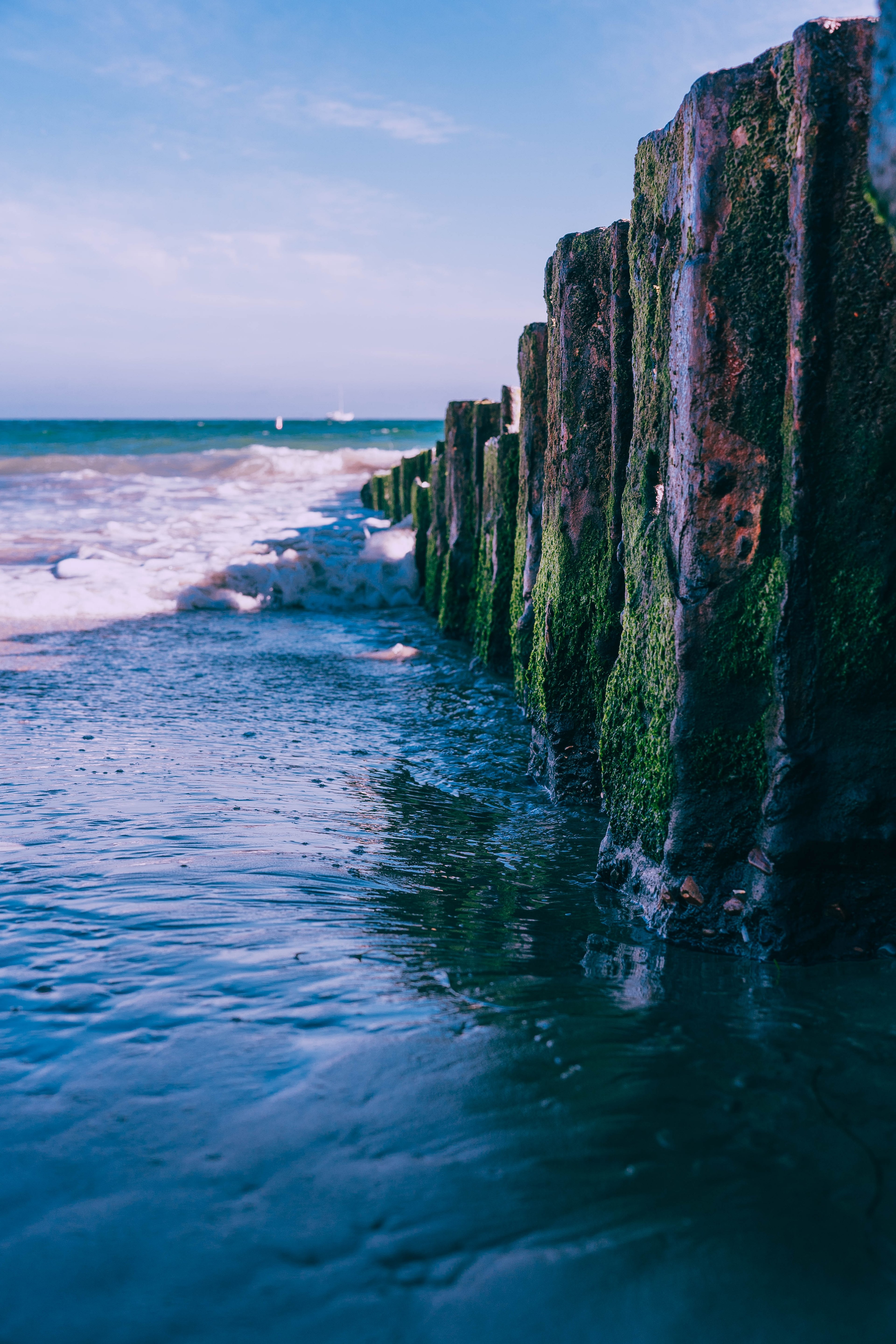butterfly beach 4k, Phone HD Wallpaper