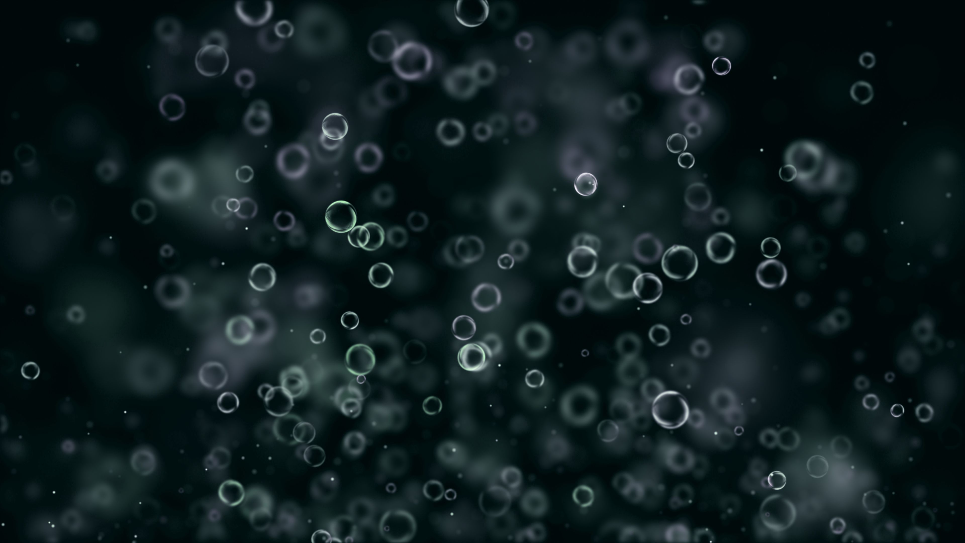 circles, abstract, black background, 4k, HD Wallpaper