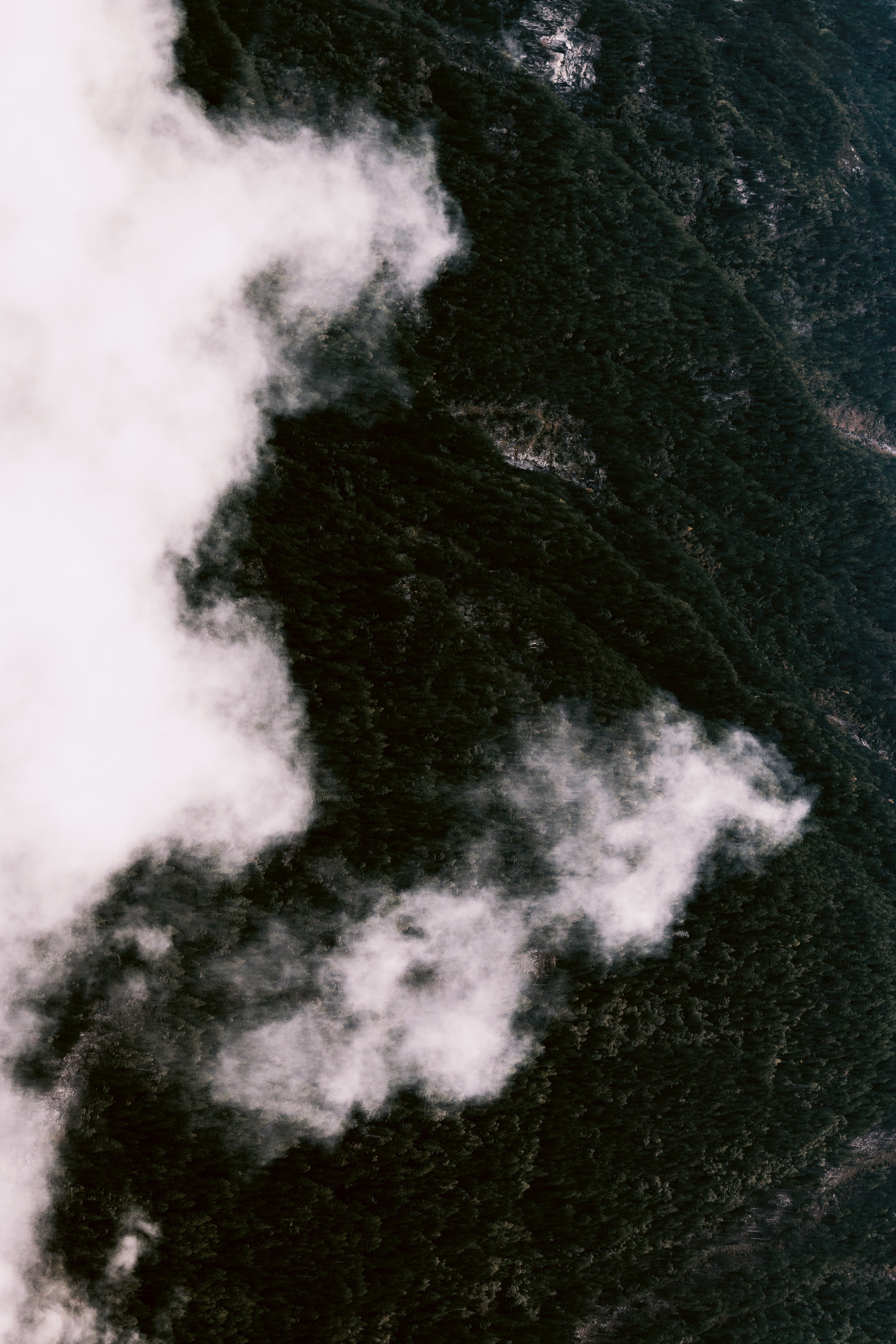 looks like 4k, Phone HD Wallpaper