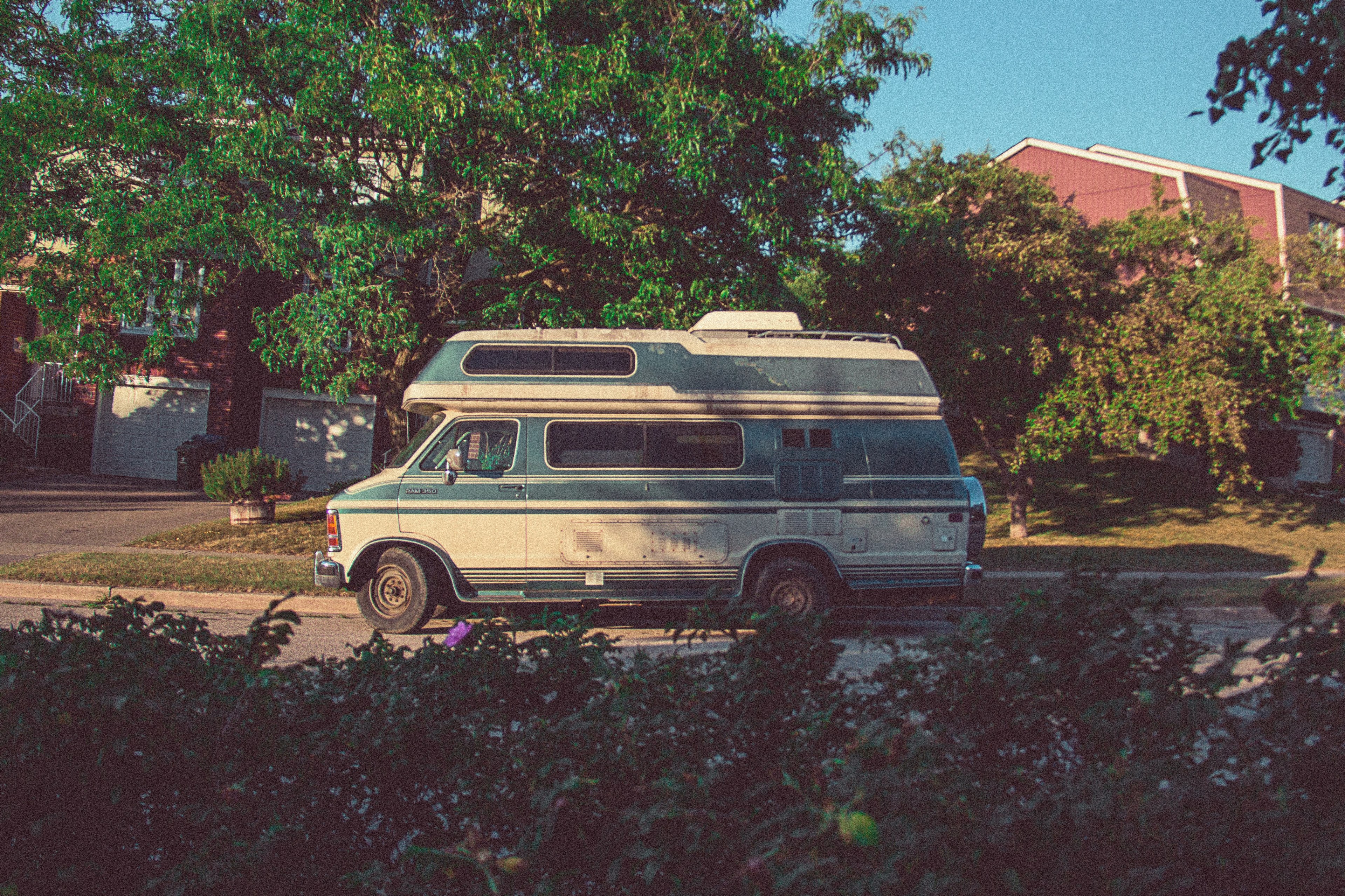 film hip retro and tree 4k, HD Wallpaper