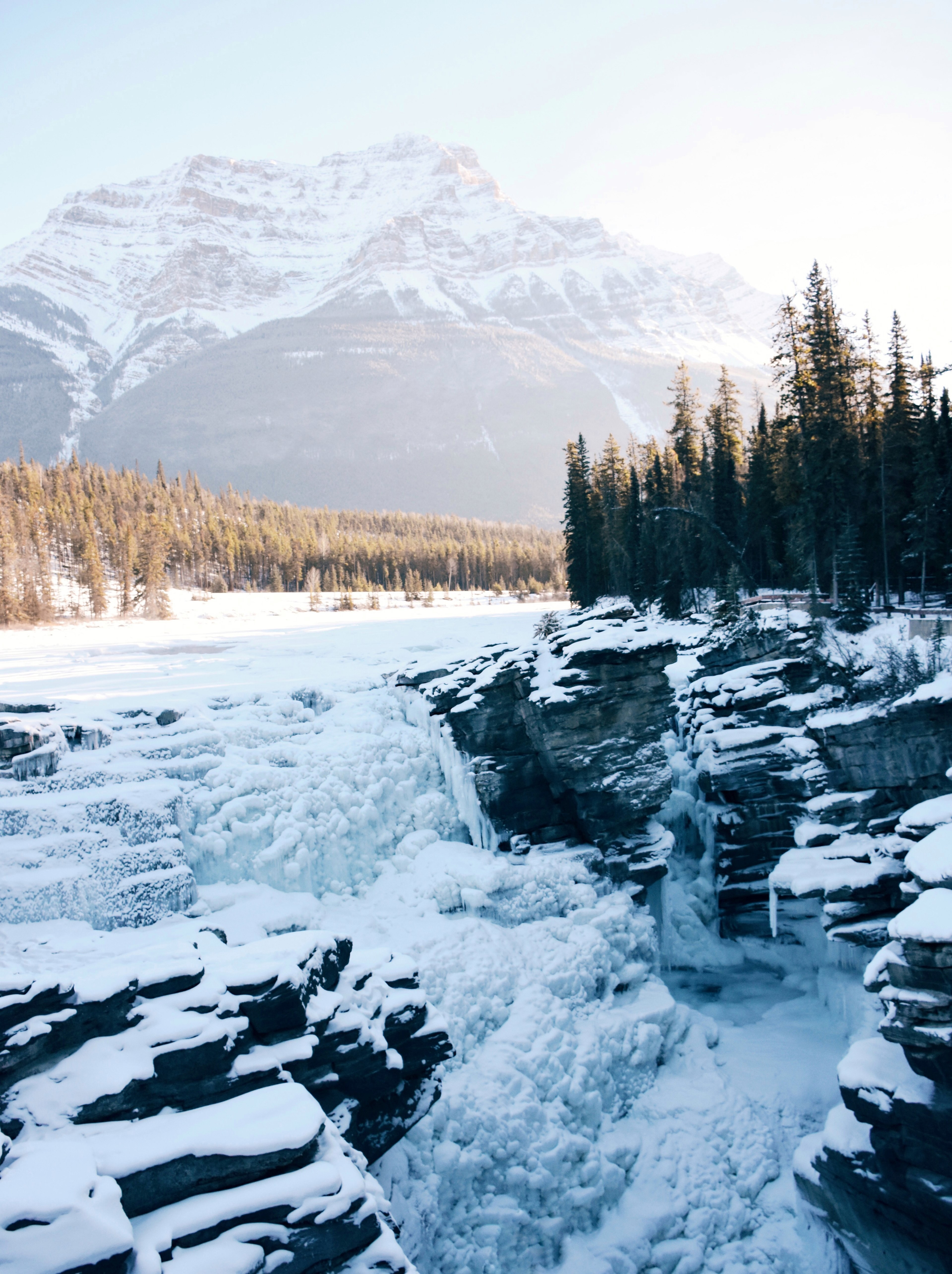 nationalpark canada tree and frozen hd, 4k, Phone HD Wallpaper