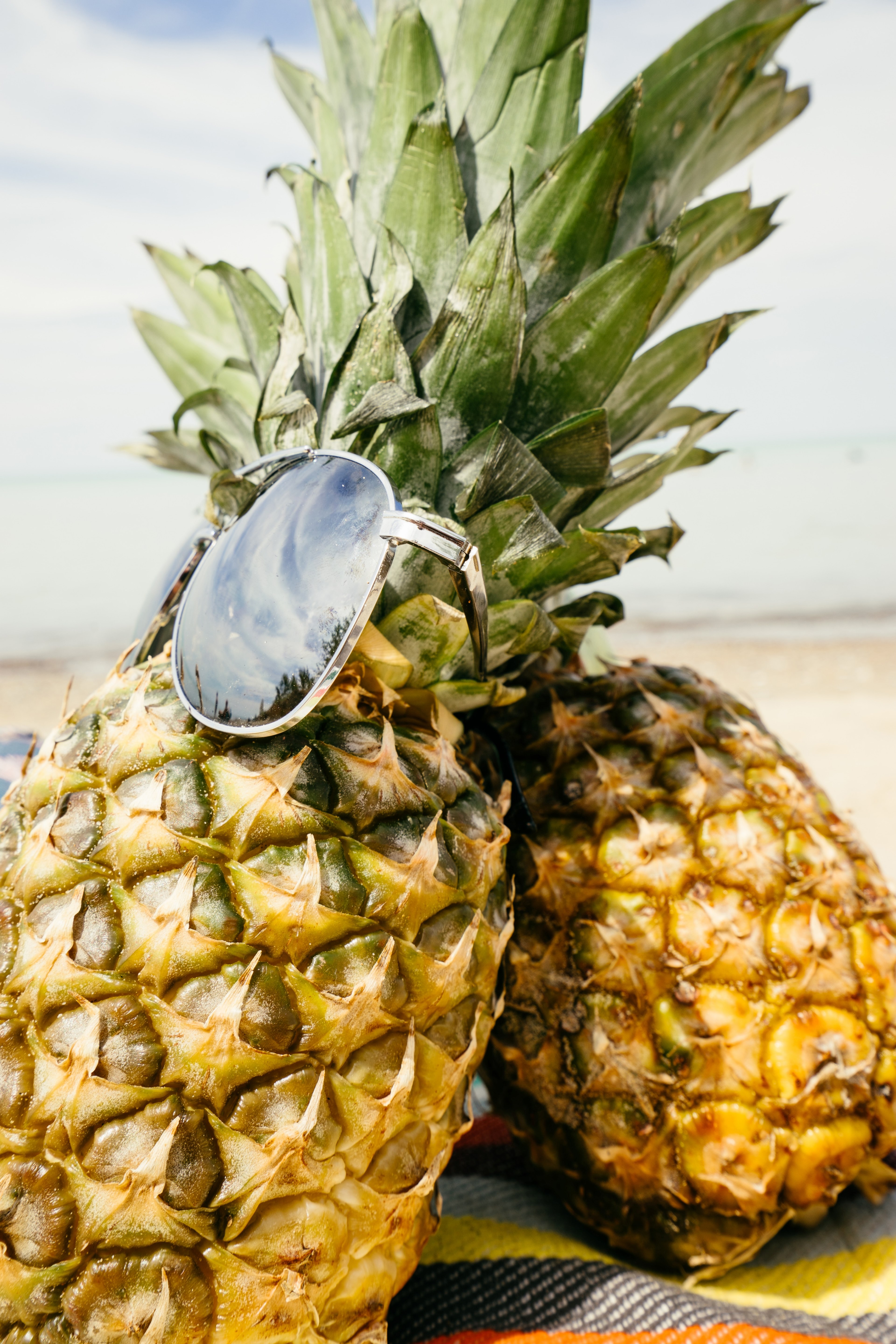 fruit tropical beach and aviator hd, 4k, Phone HD Wallpaper