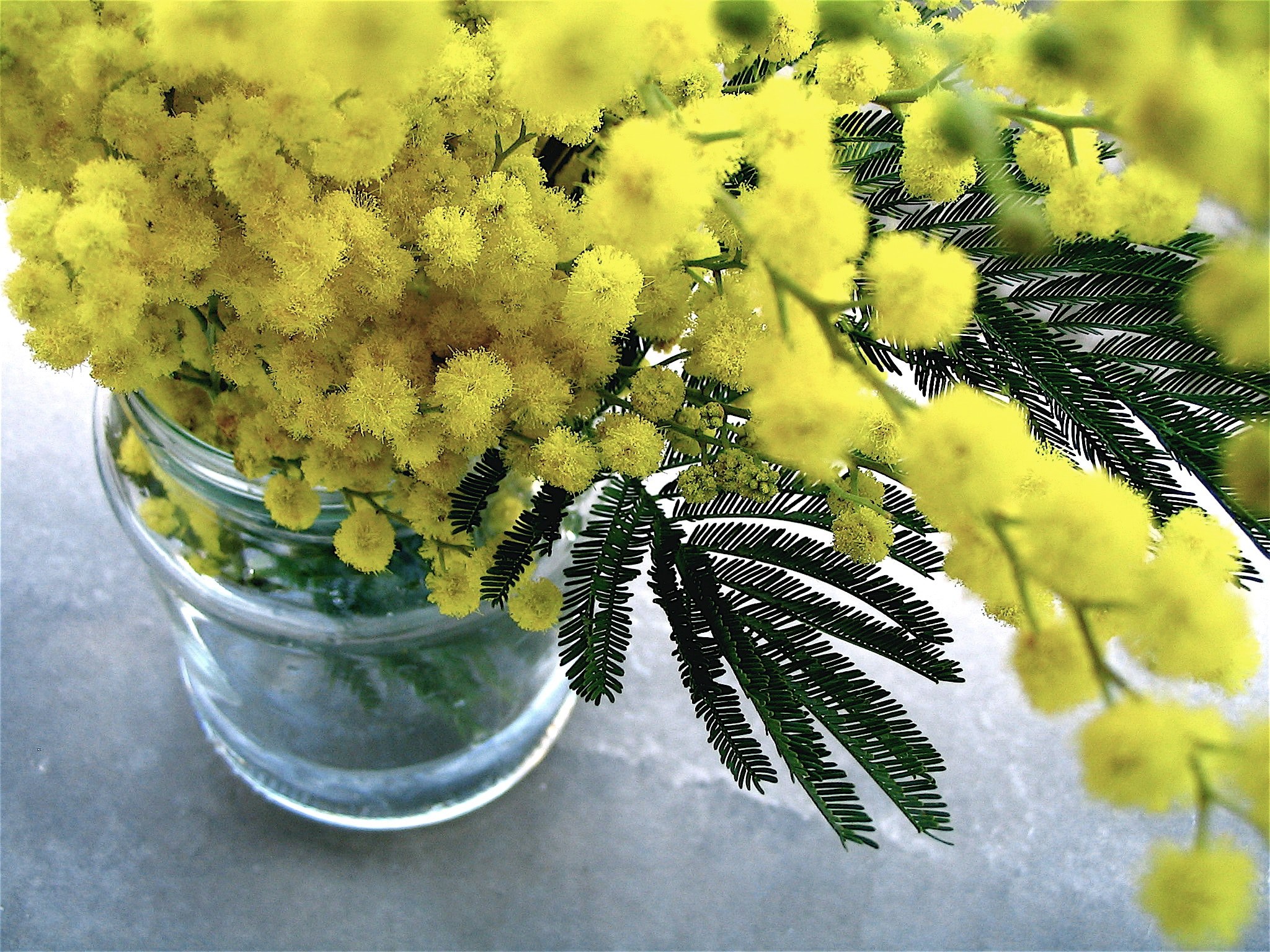 close up of a glass jar with rich yellow flowers, yellow flowers in a jar 4k, HD Wallpaper