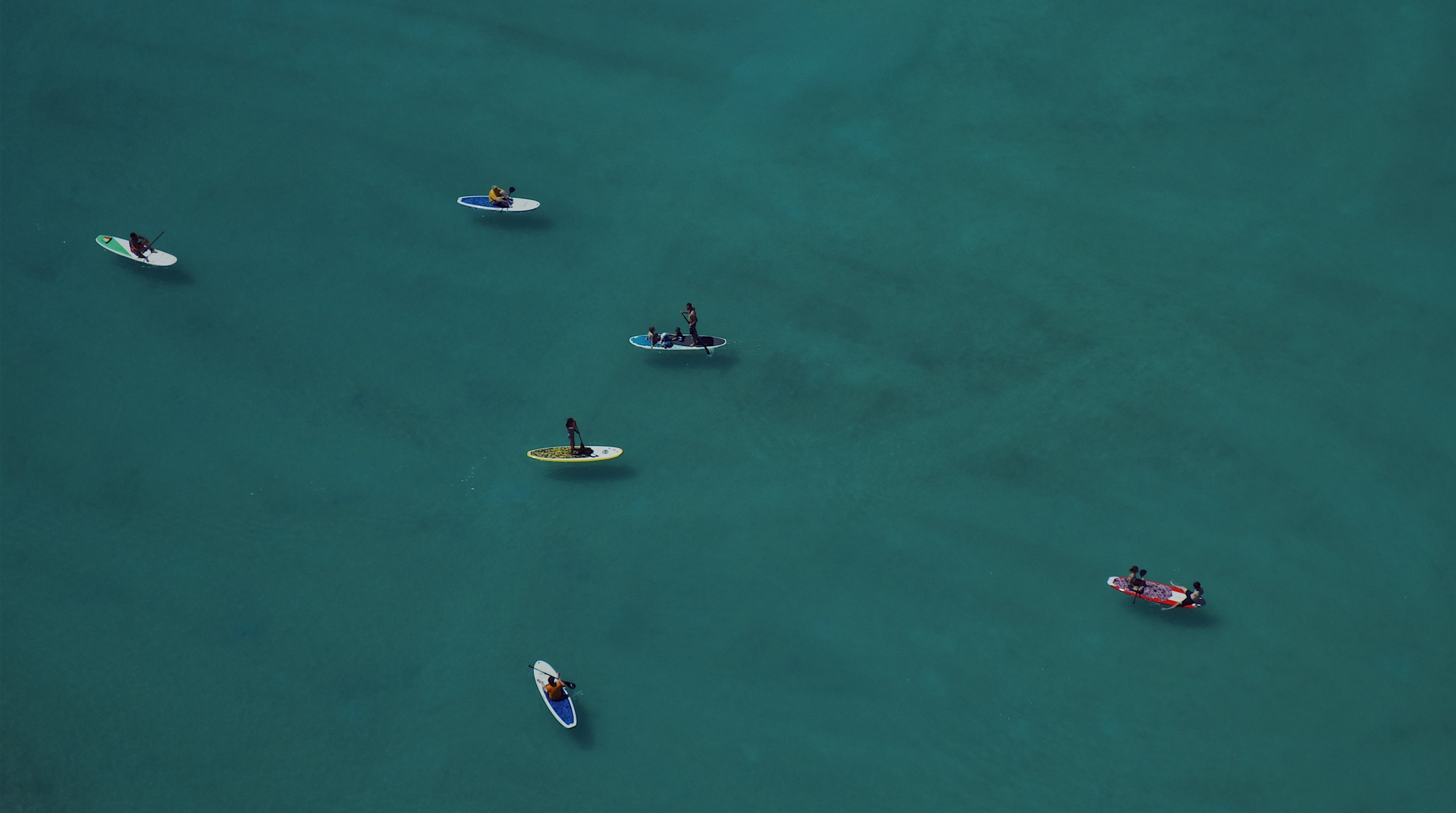 paddling through life 4k, HD Wallpaper