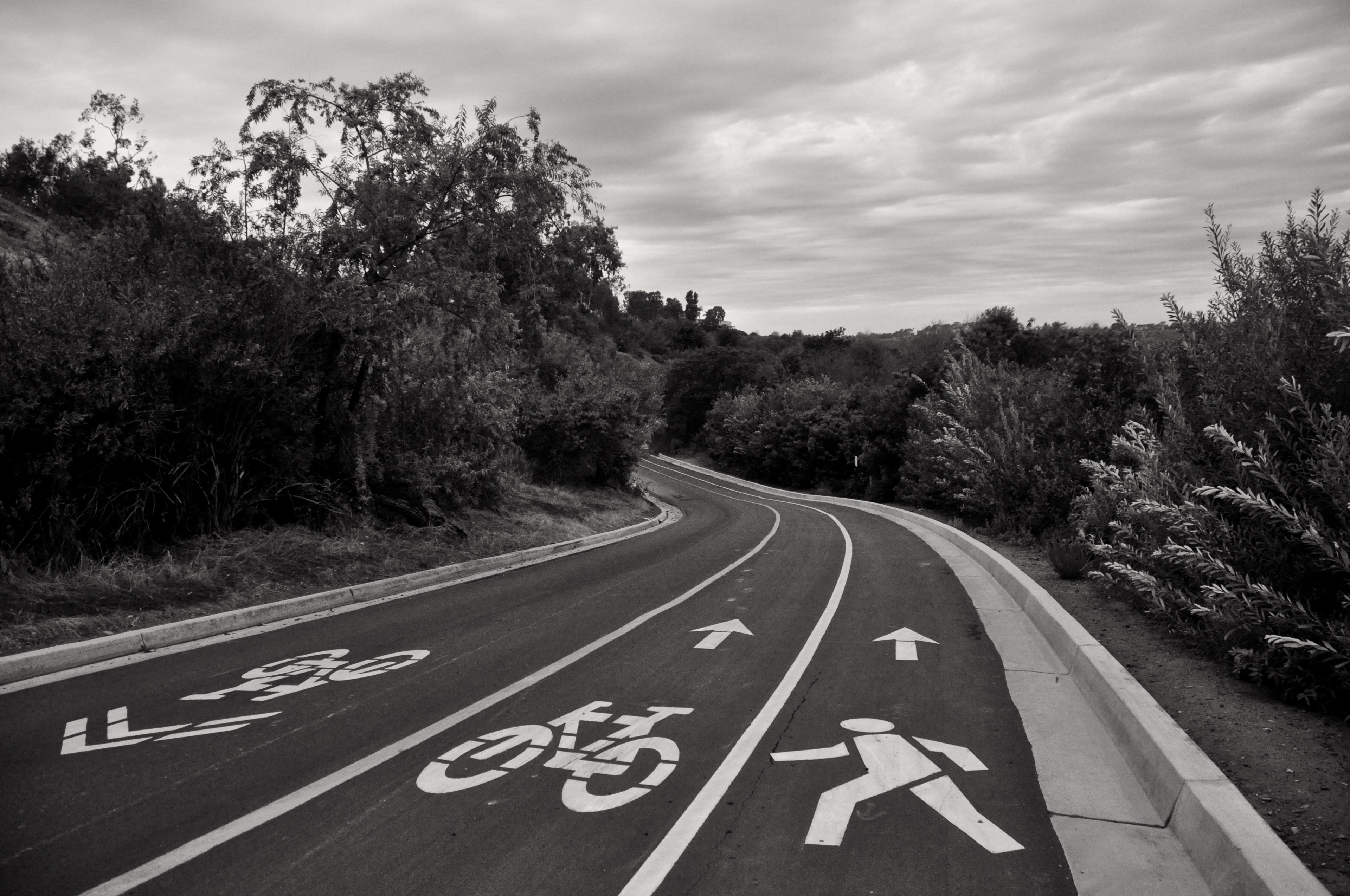 pedestrians and cyclists own this road 4k, HD Wallpaper