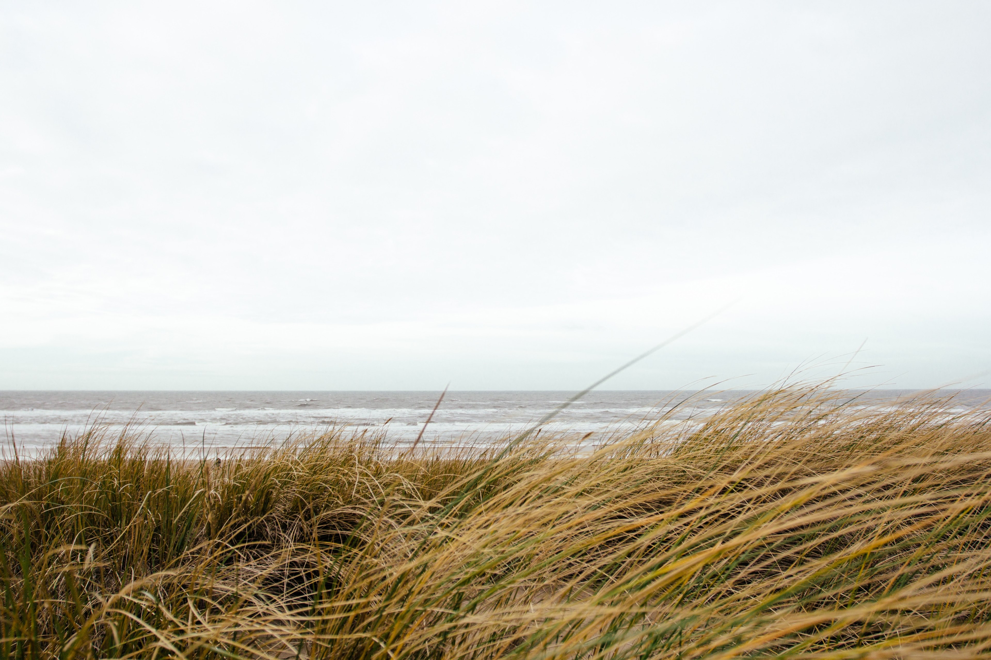 sea beach wallpapers and beach background 4k, HD Wallpaper