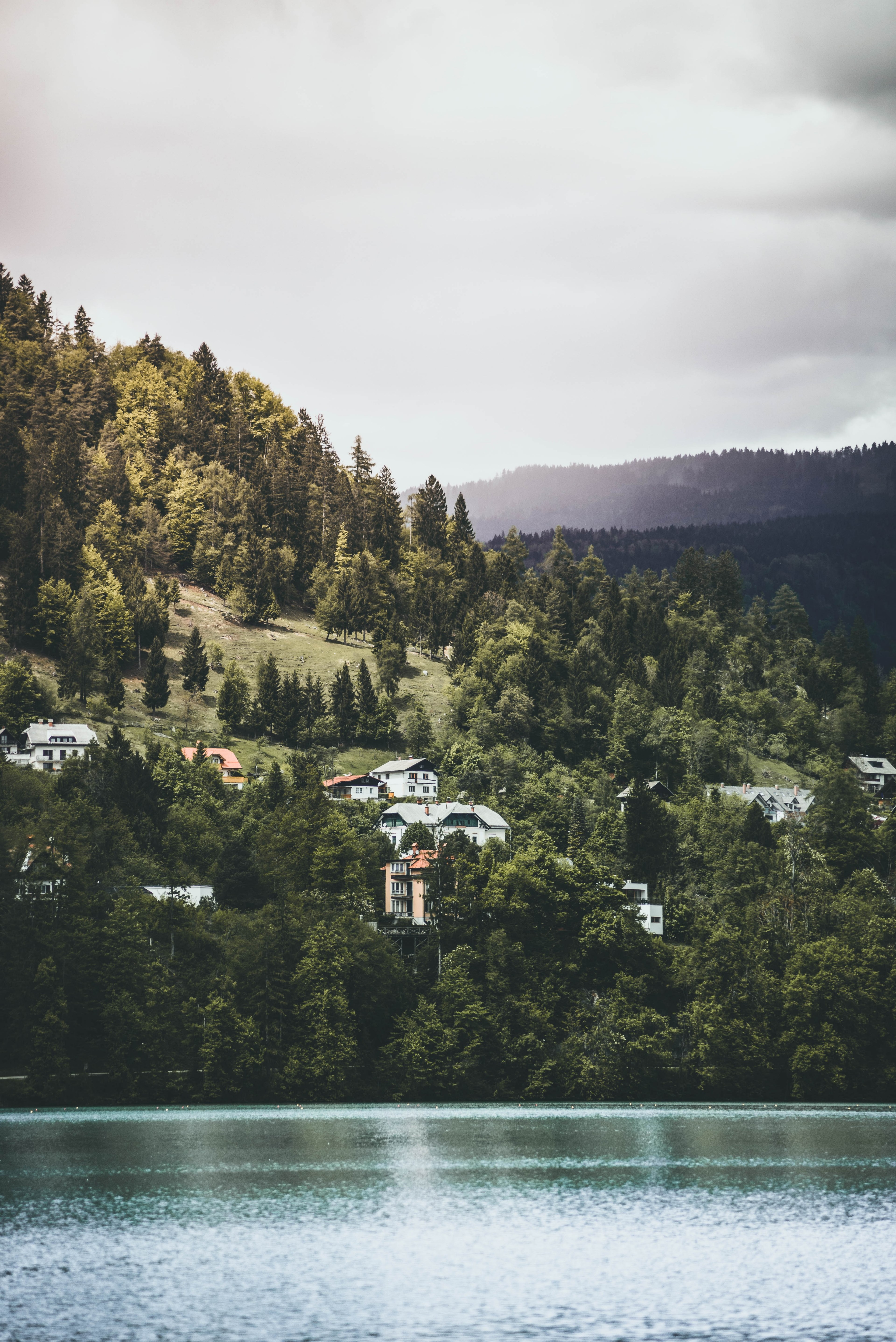 houses on the wooded shore of a lake in bled, layers built by nature 4k, Phone HD Wallpaper