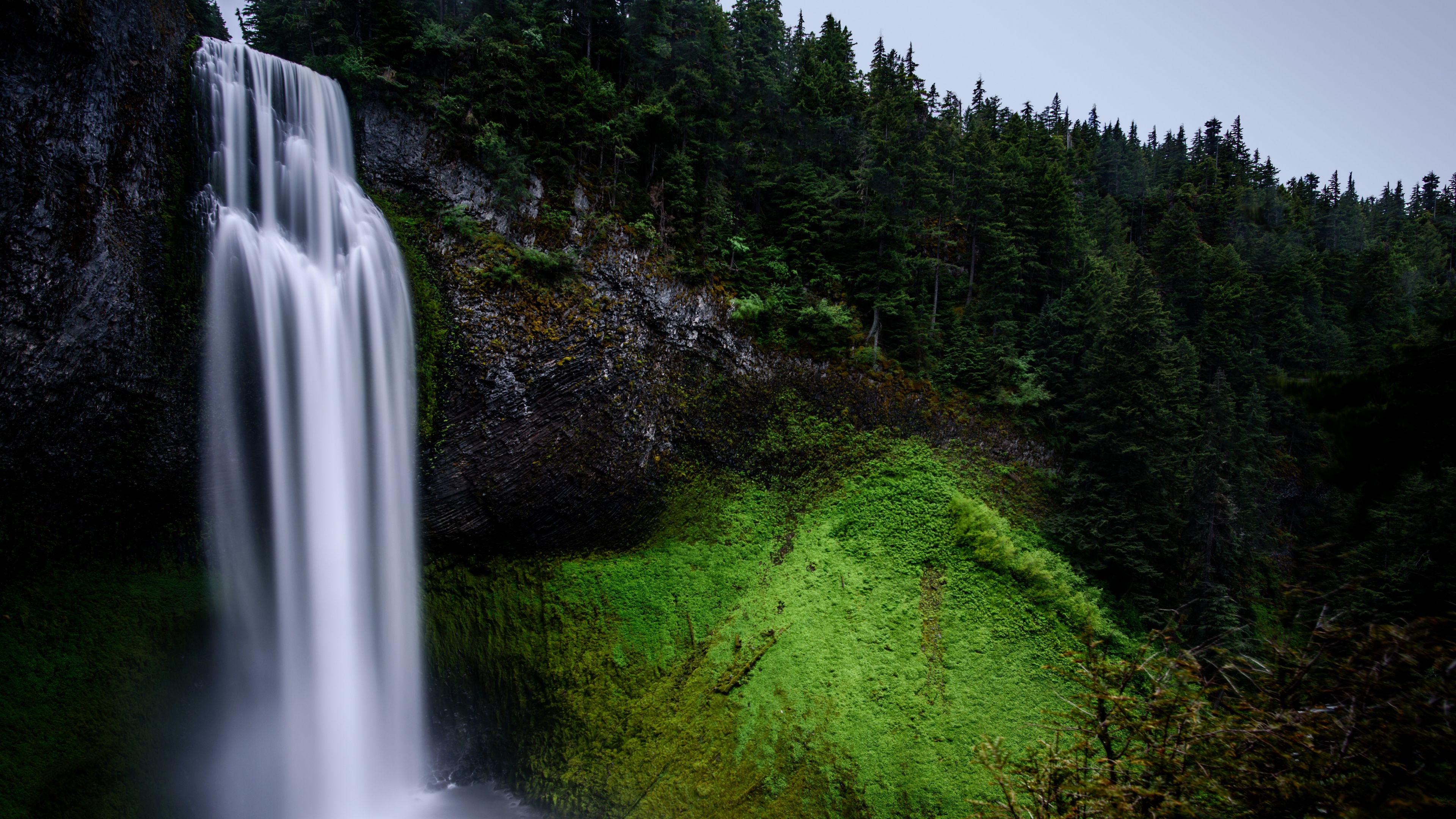 waterfall, moss, hill, trees, 4k, HD Wallpaper