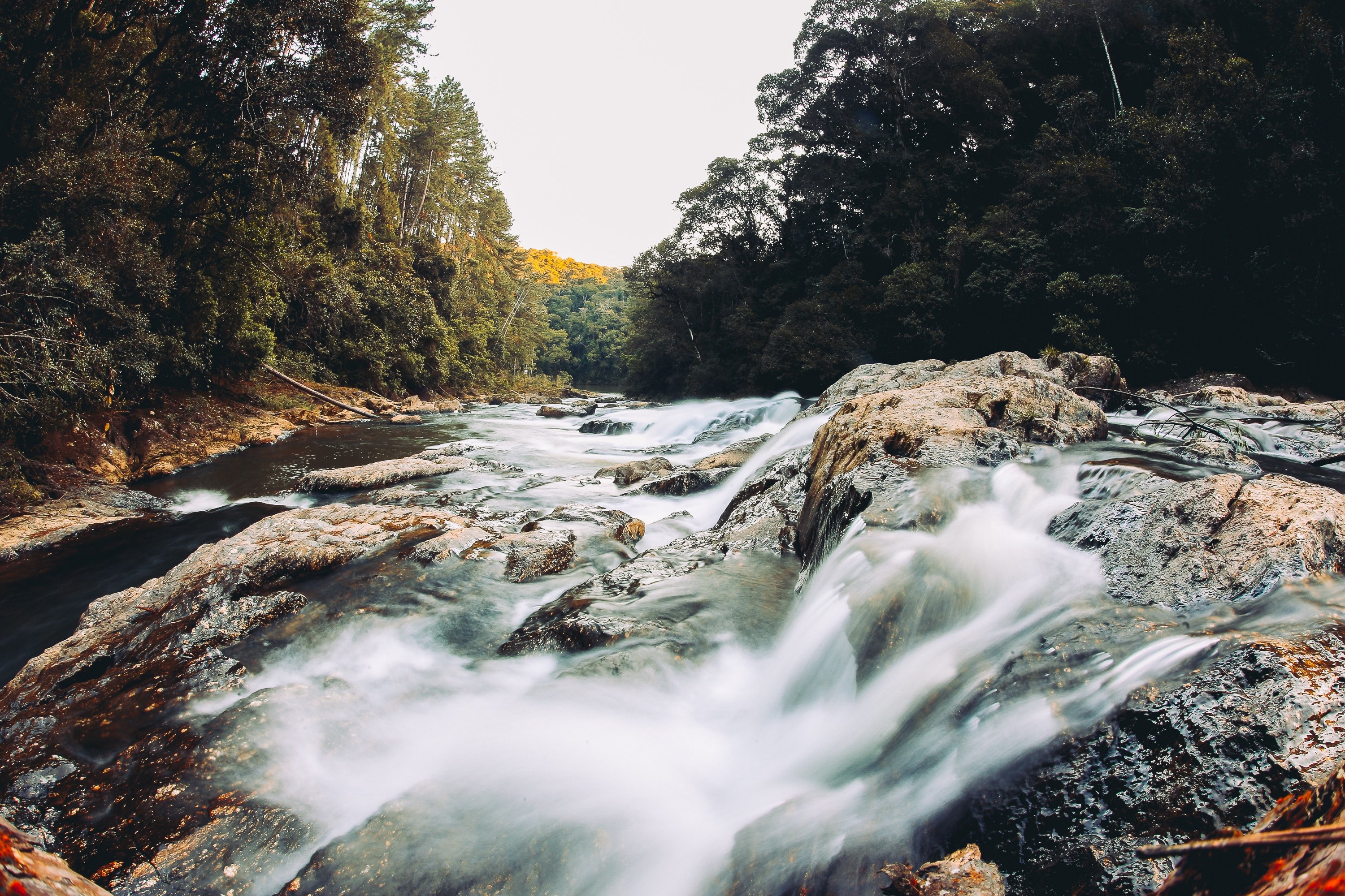 a stream flowing on jagged rocks in a forest, stream on a rocky bed 4k, HD Wallpaper