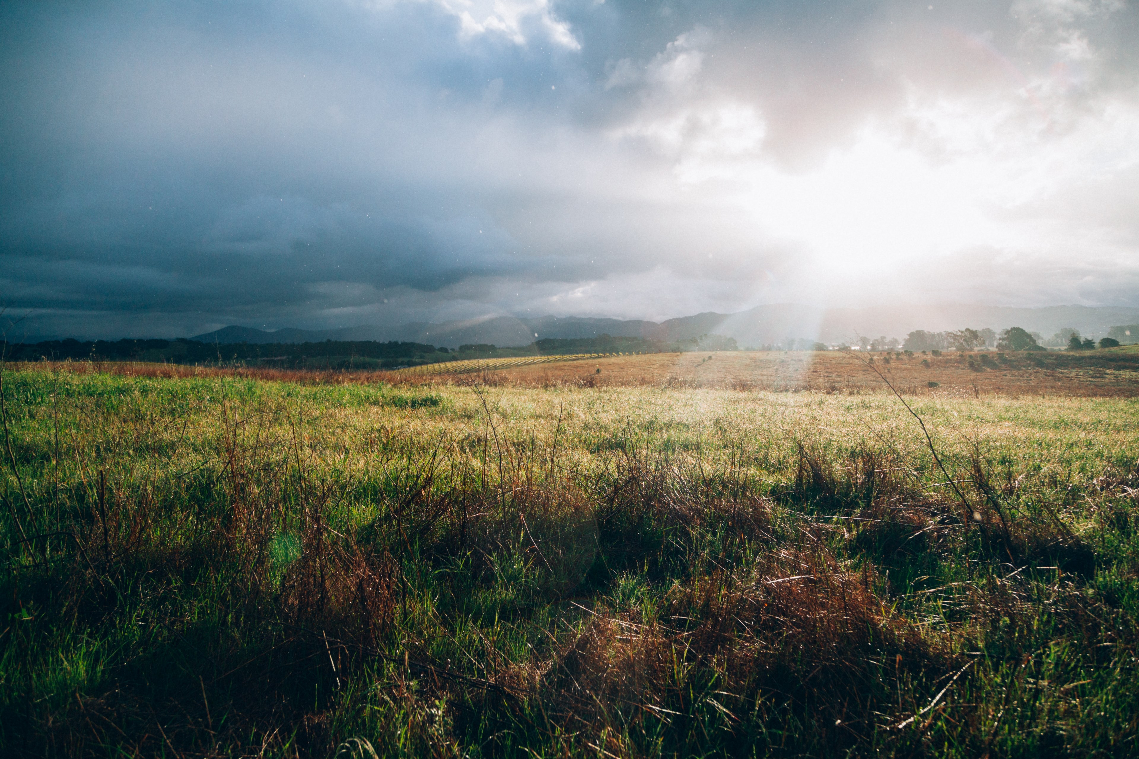 landscape field plain and sunlight 4k, HD Wallpaper