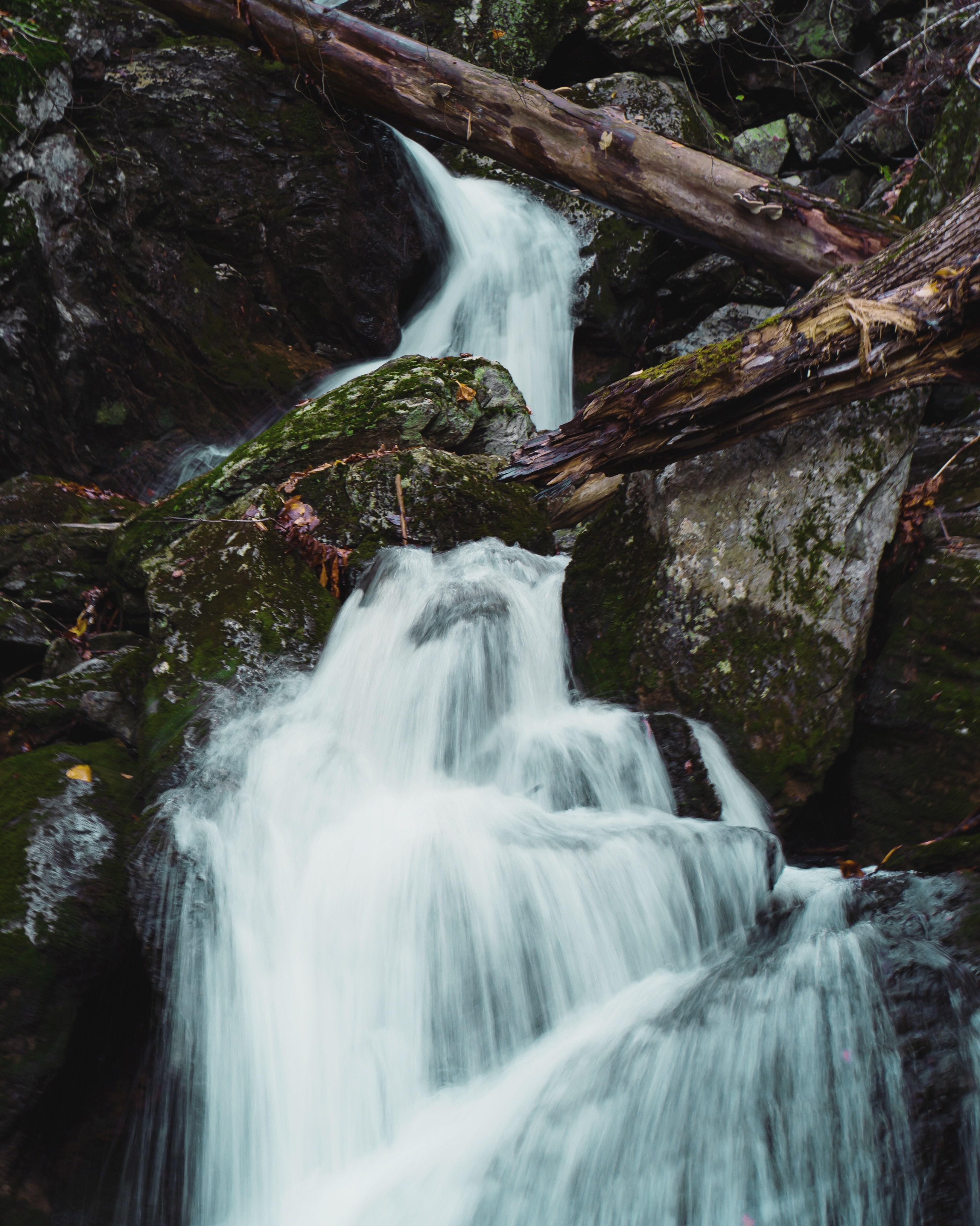 small things 4k, Phone HD Wallpaper