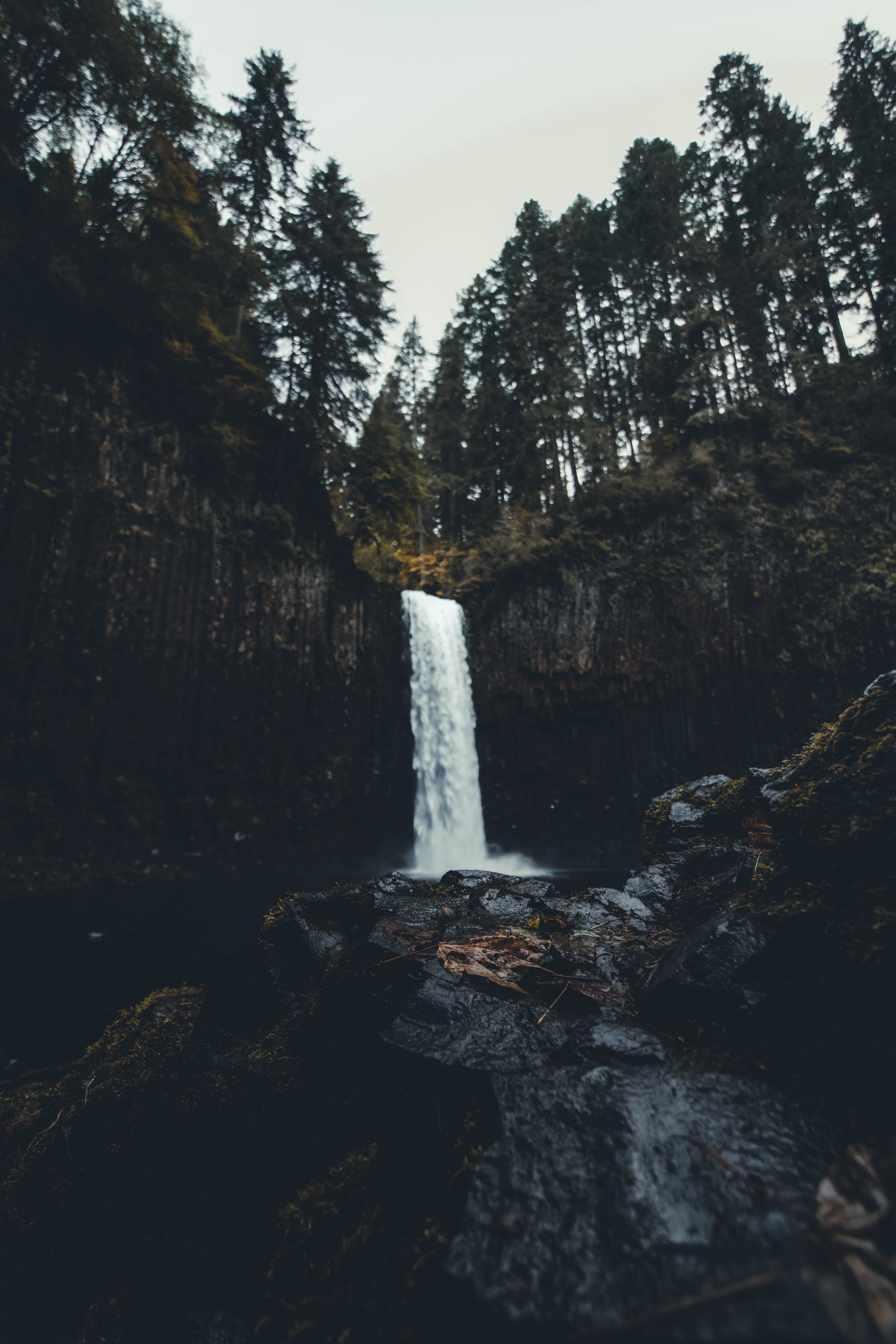 waterfall tree mountain and water hd, 4k, Phone HD Wallpaper