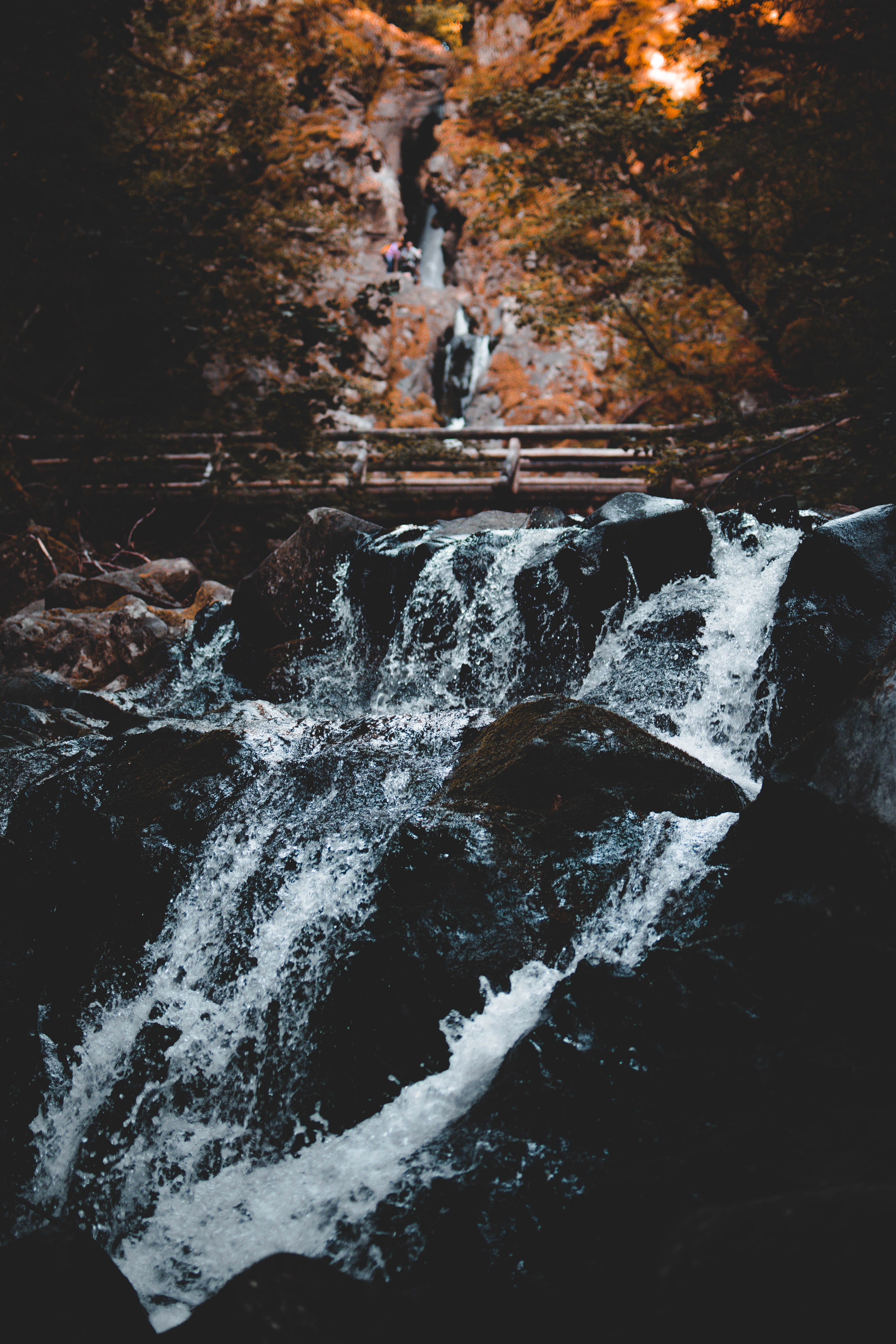 somewhere off the trail 4k, Phone HD Wallpaper